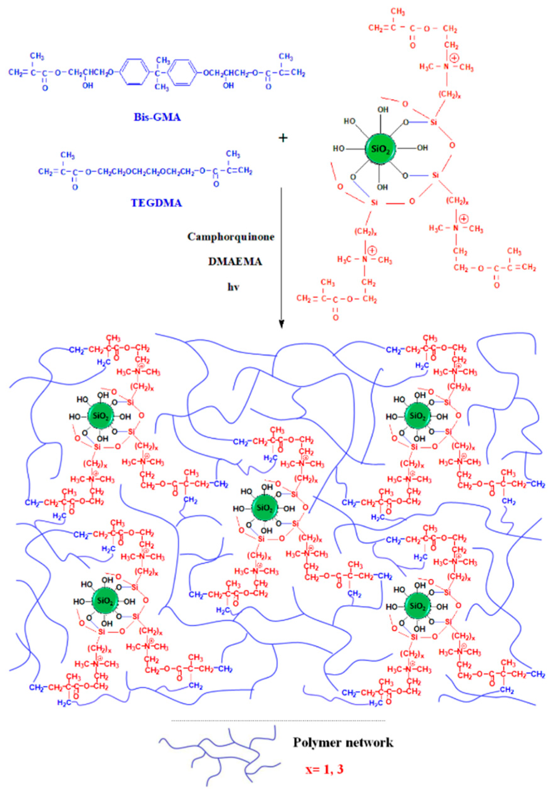Polymers 13 01682 sch003