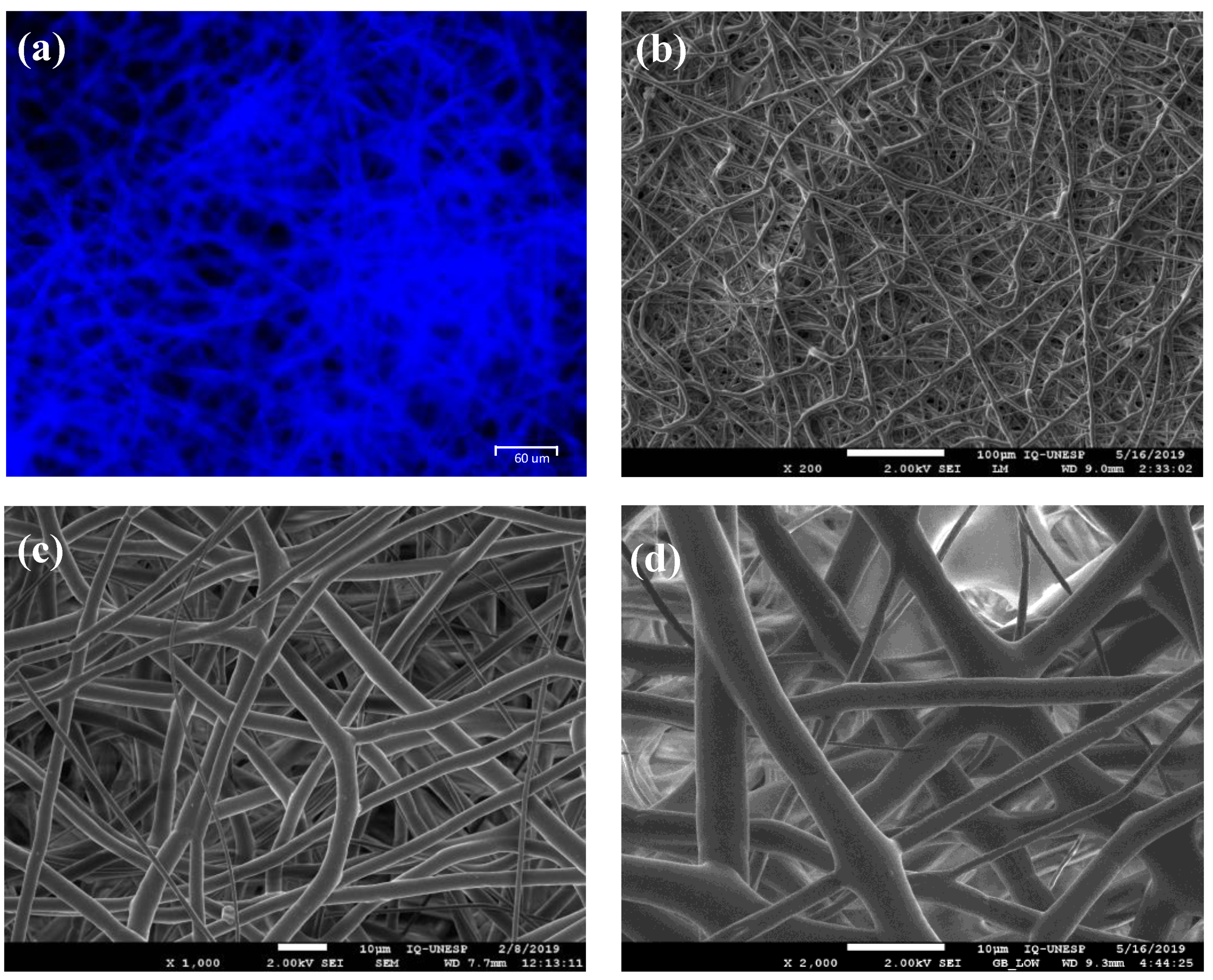 Polymers 13 01685 g001