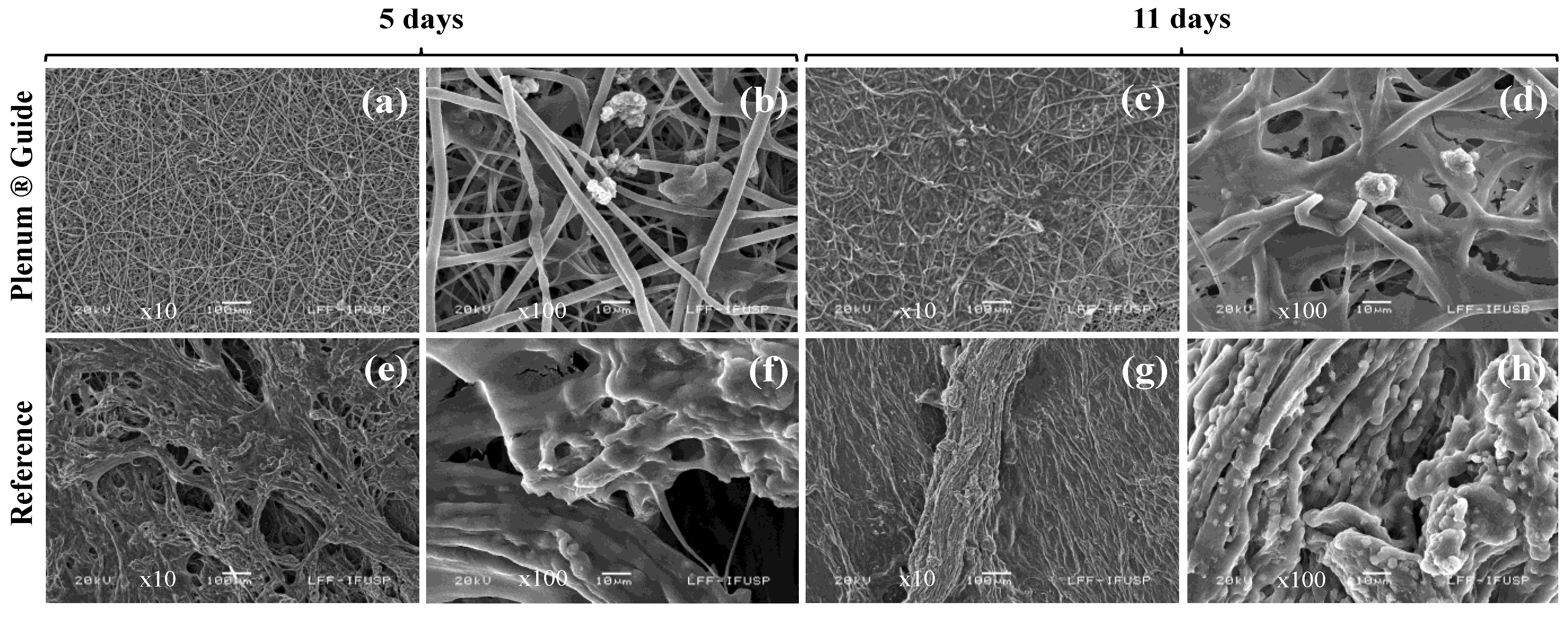 Polymers 13 01685 g005