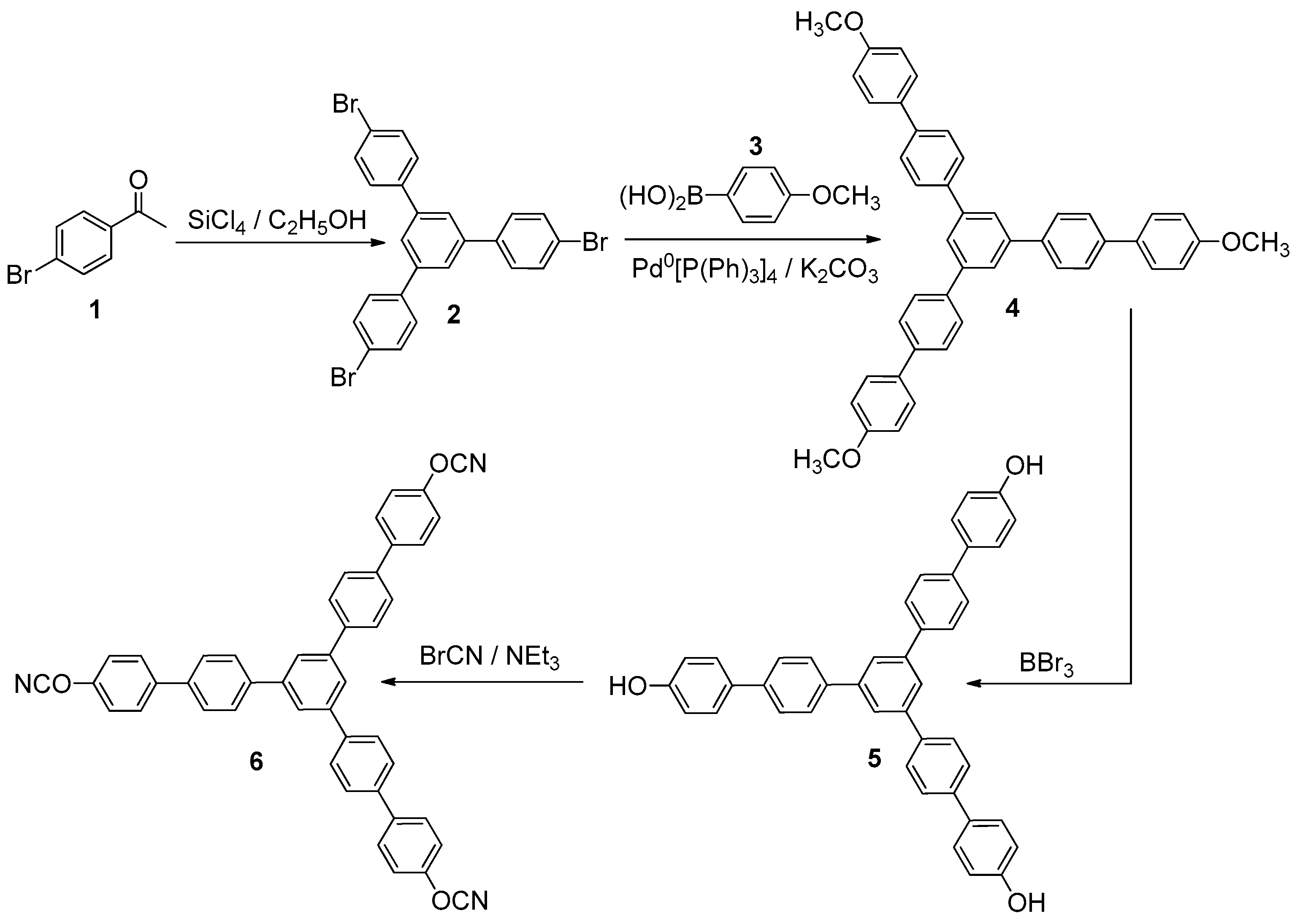 Polymers 13 01686 g002