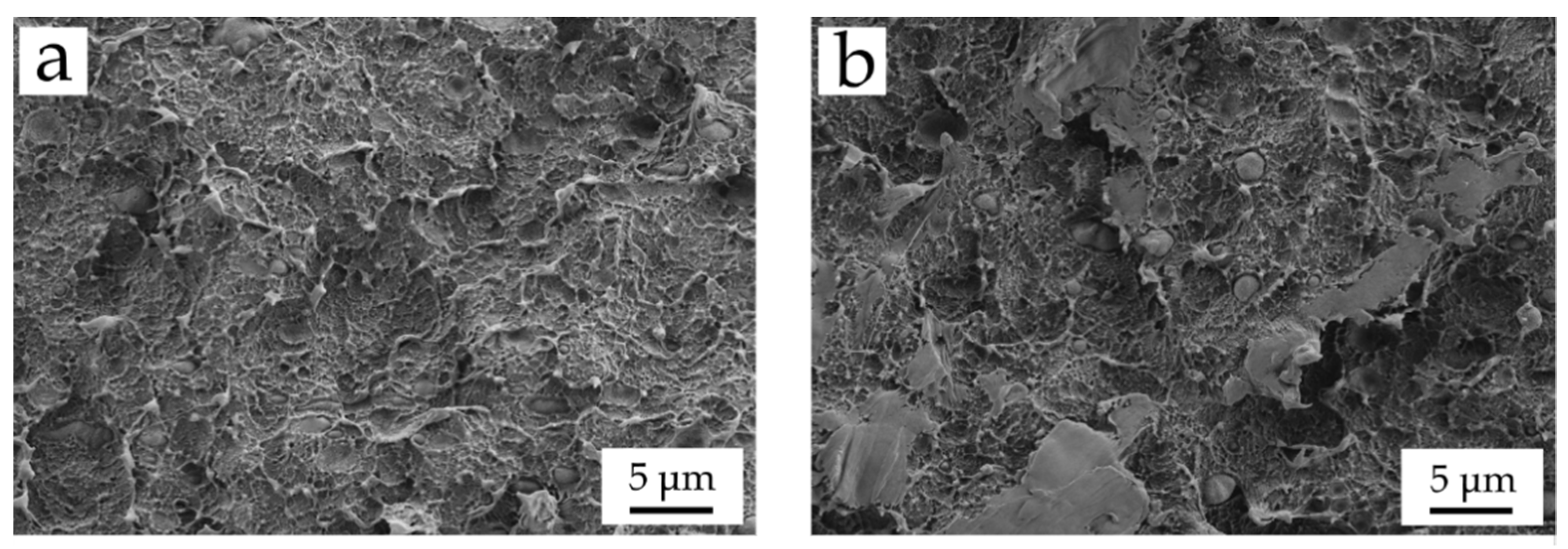 Polymers 13 01692 g003 Polymers 13 01692 g003