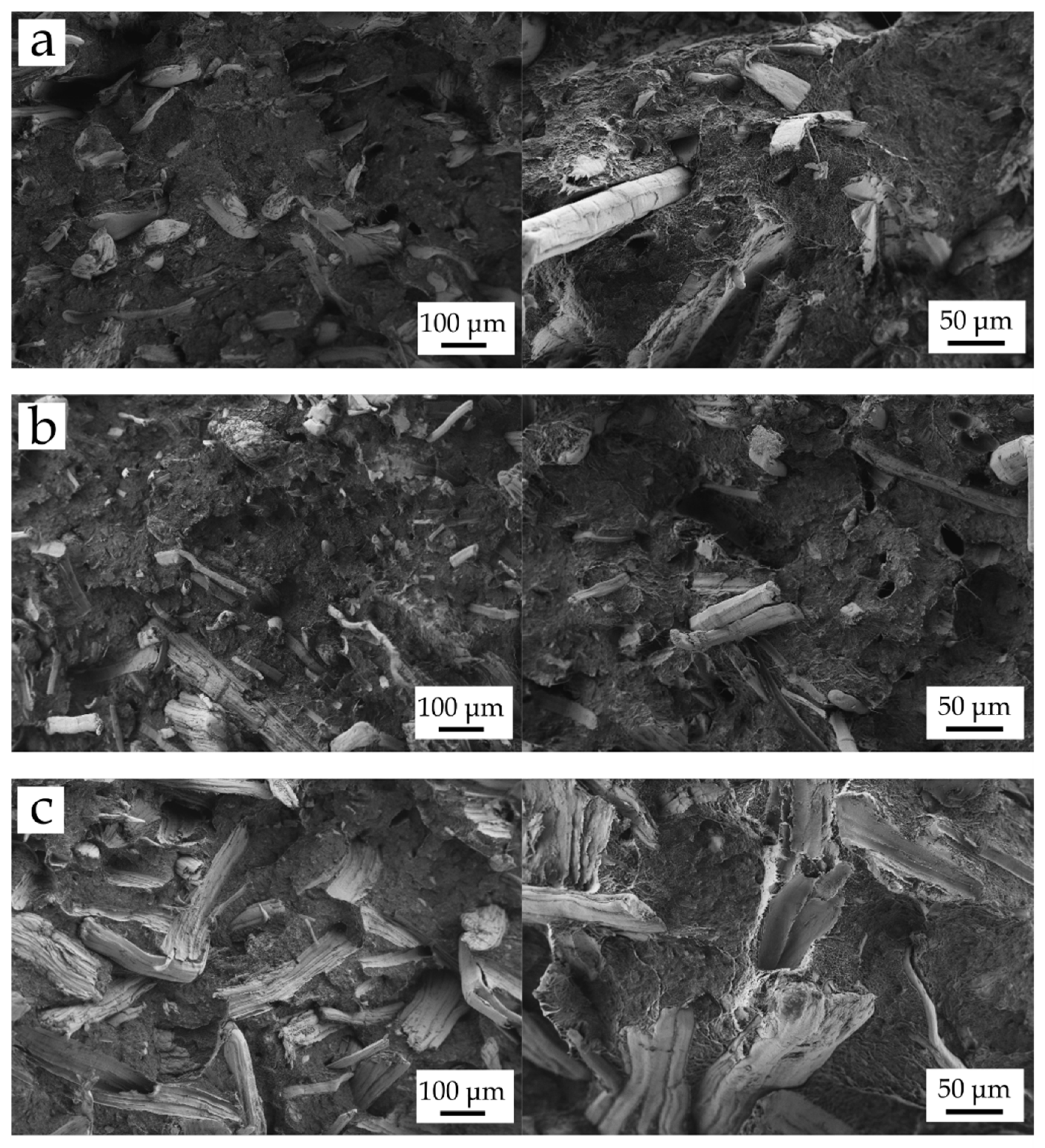 Polymers 13 01692 g004 Polymers 13 01692 g004