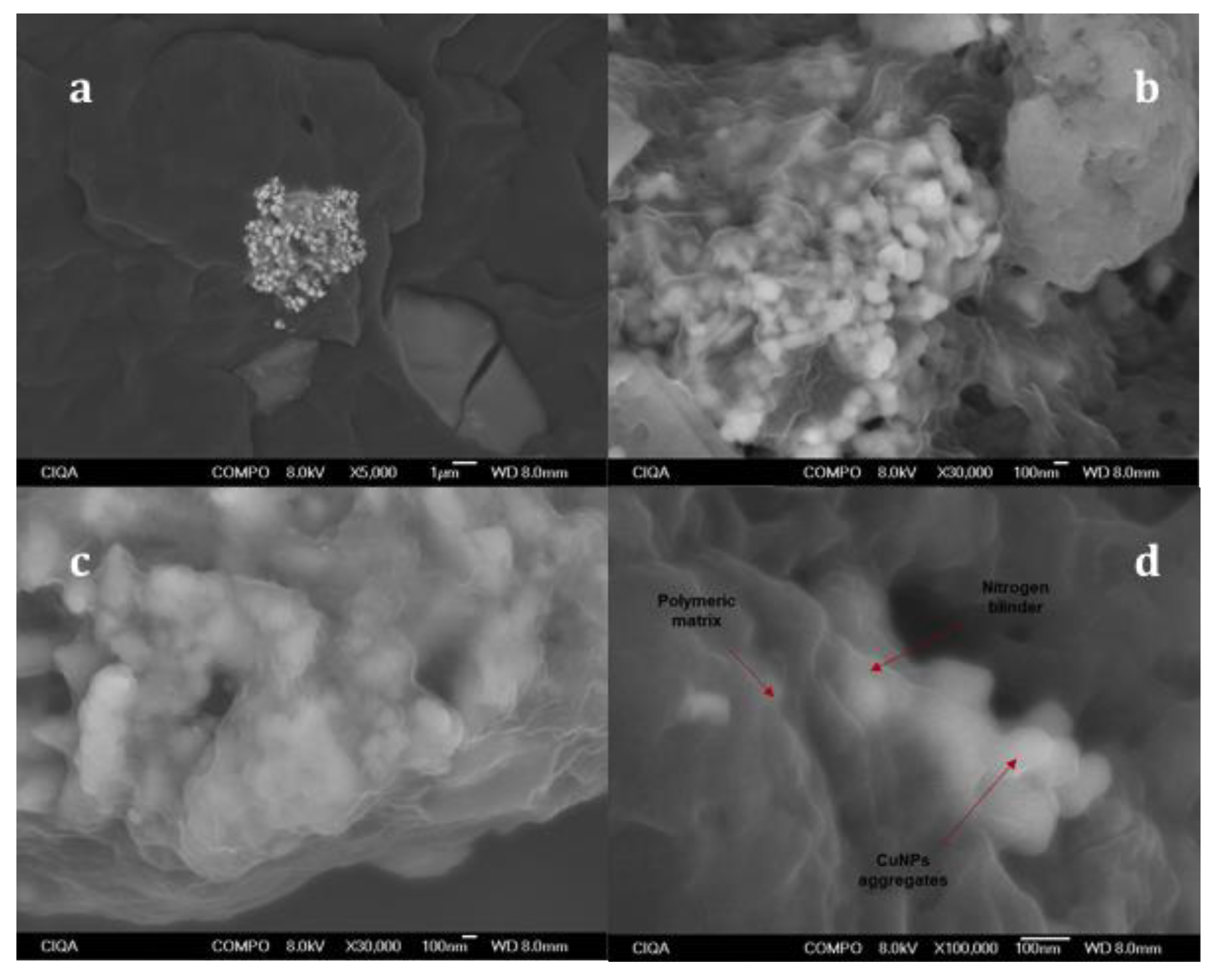 Polymers 13 01694 g002 Polymers 13 01694 g002