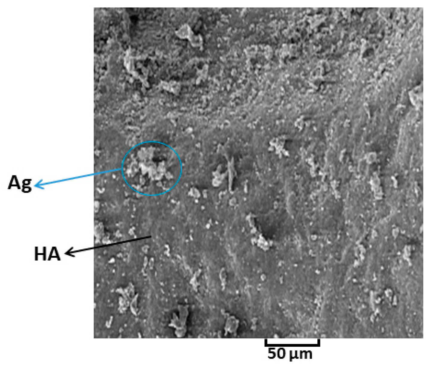Polymers 13 01695 g009