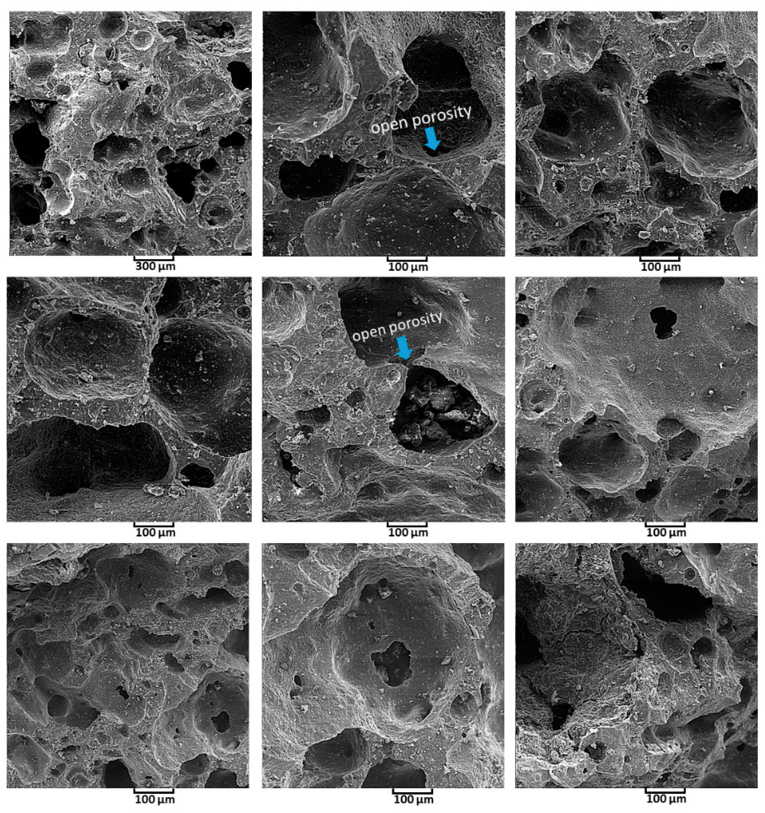 Polymers 13 01695 g010