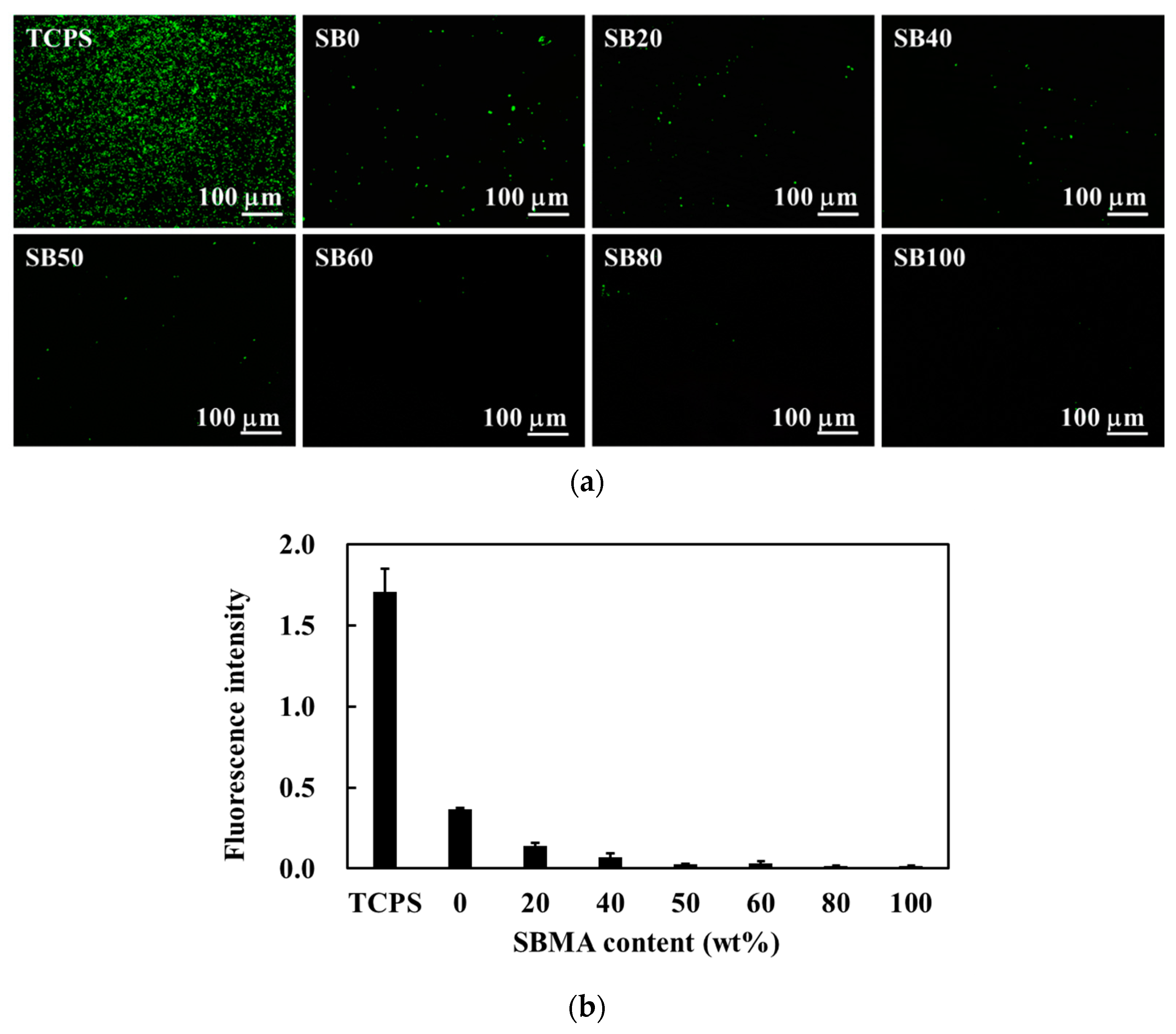 Polymers 13 01697 g003 Polymers 13 01697 g003