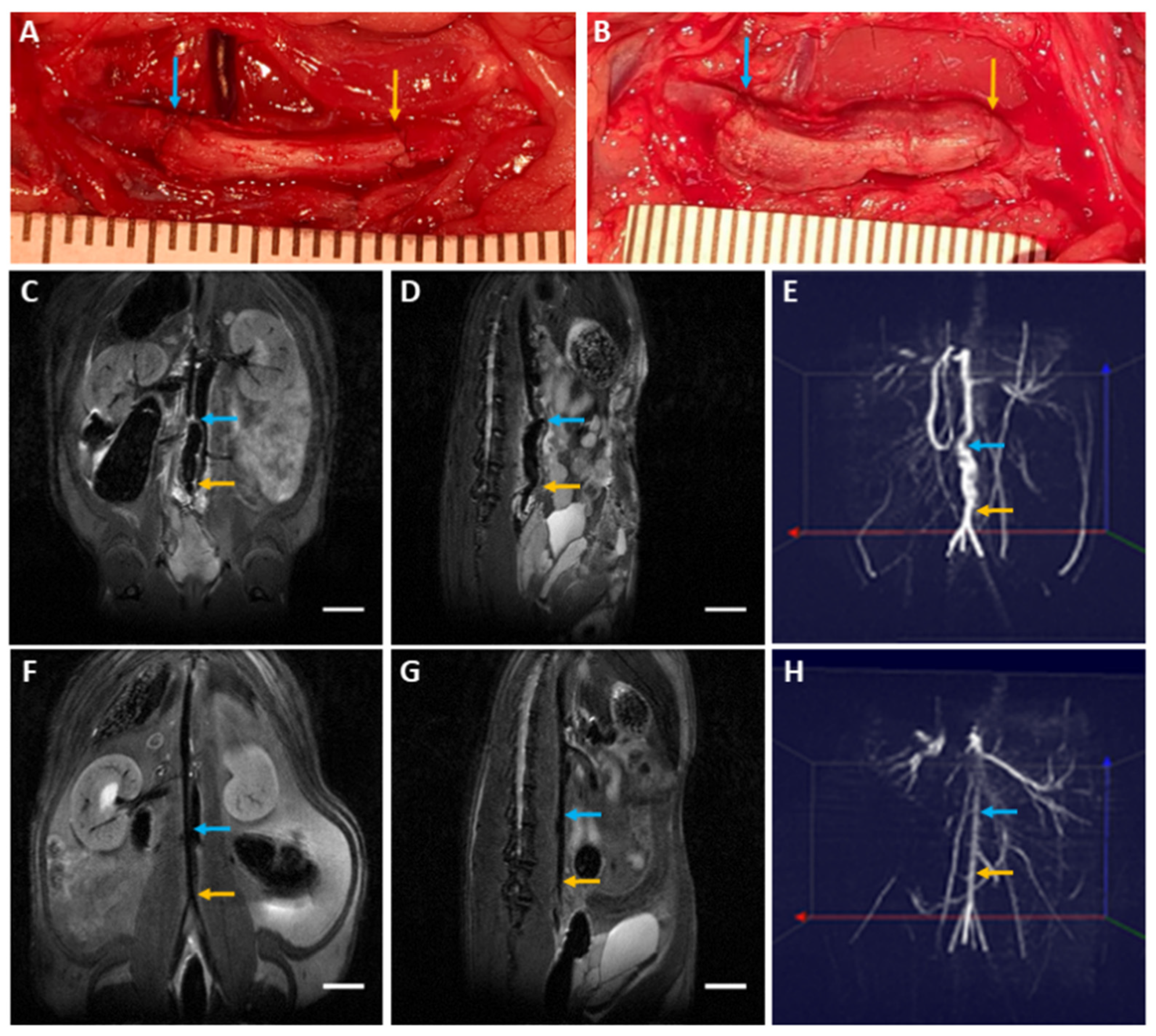 Polymers 13 01699 g006 Polymers 13 01699 g006