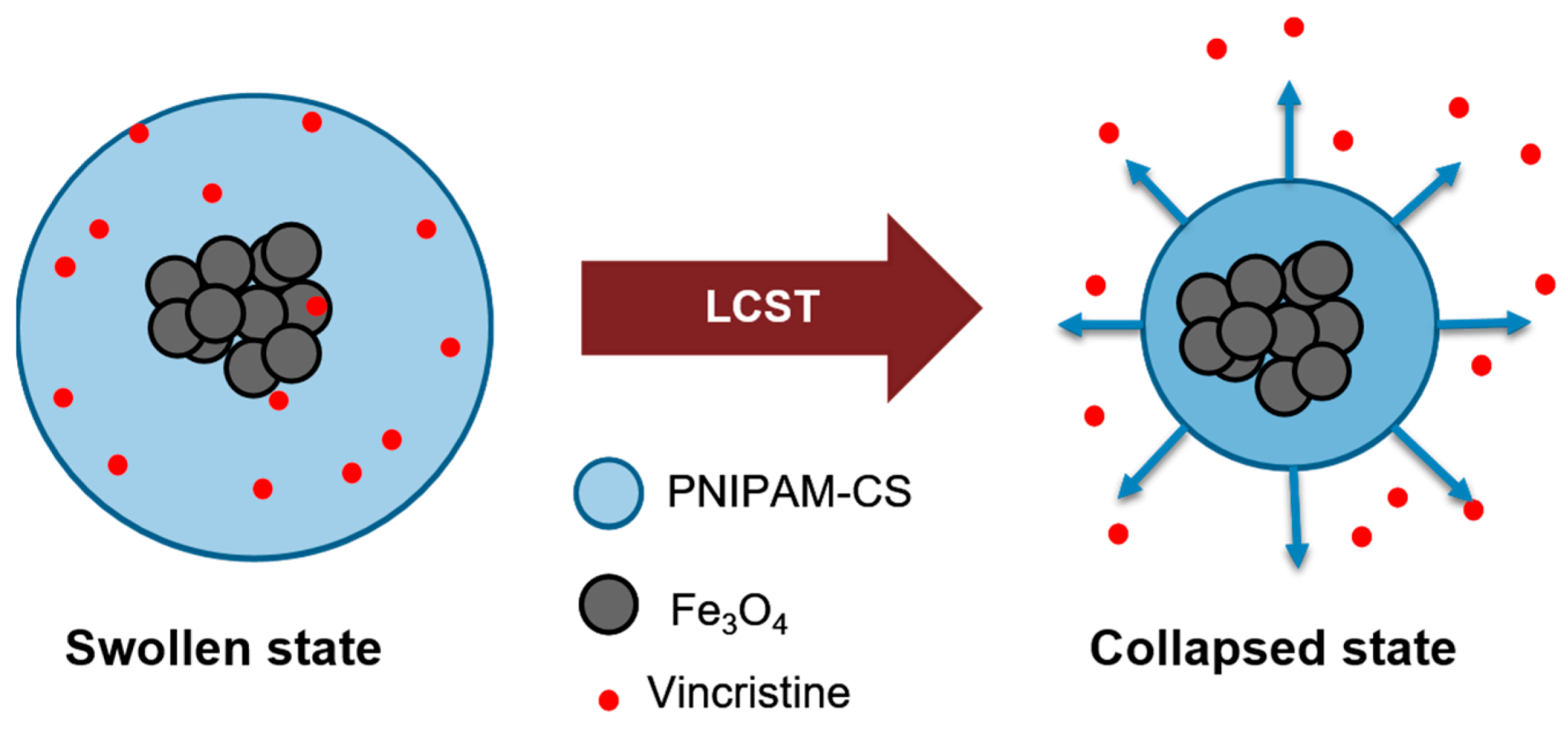 Polymers 13 01704 g001 Polymers 13 01704 g001