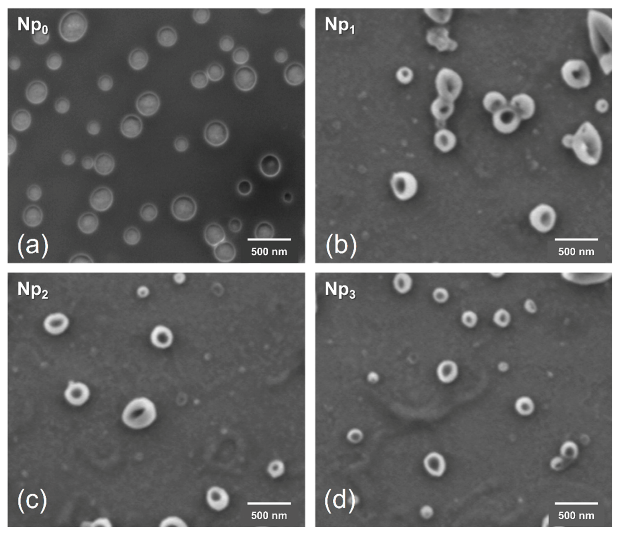 Polymers 13 01704 g006 Polymers 13 01704 g006