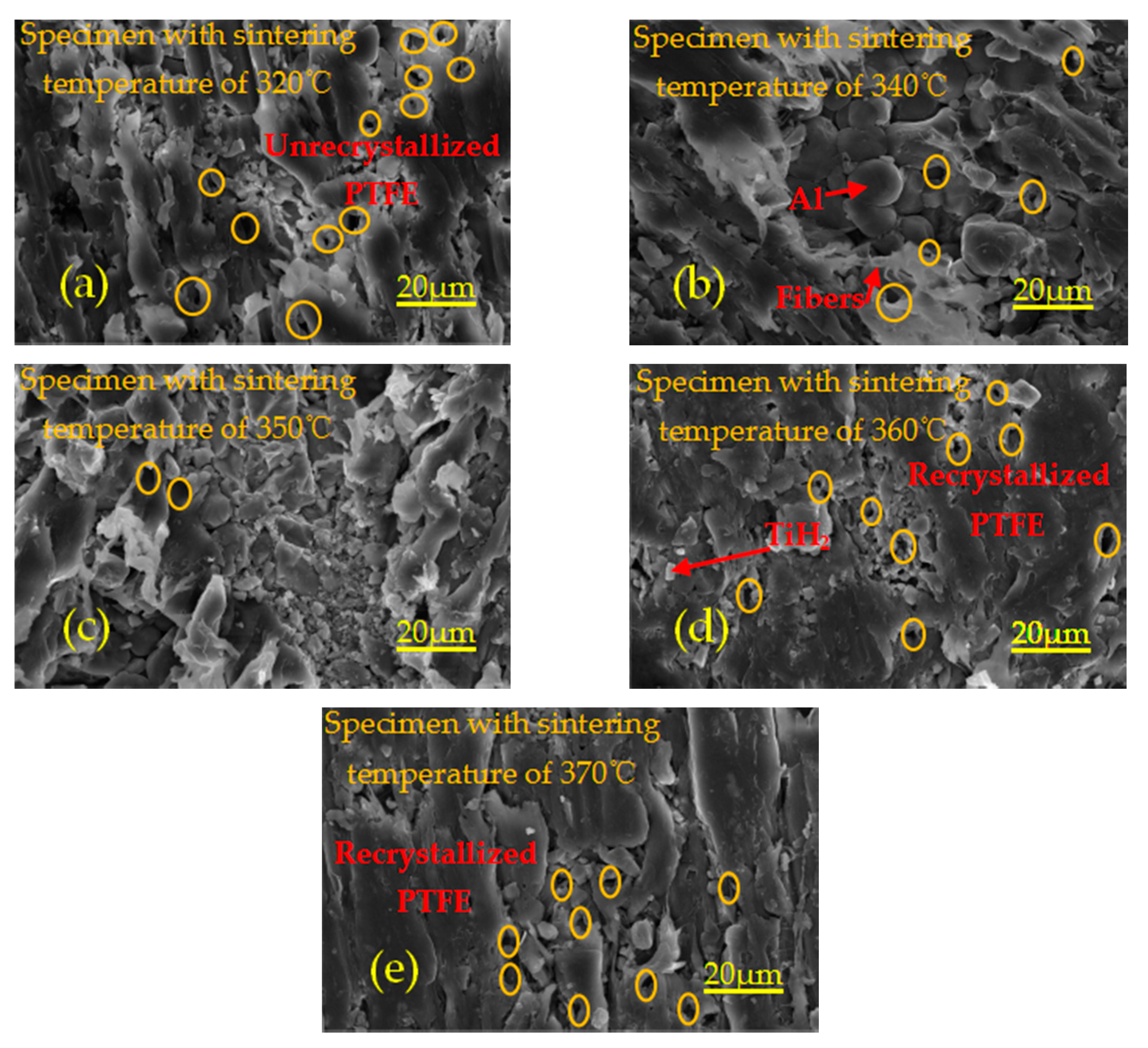 Polymers 13 01705 g009