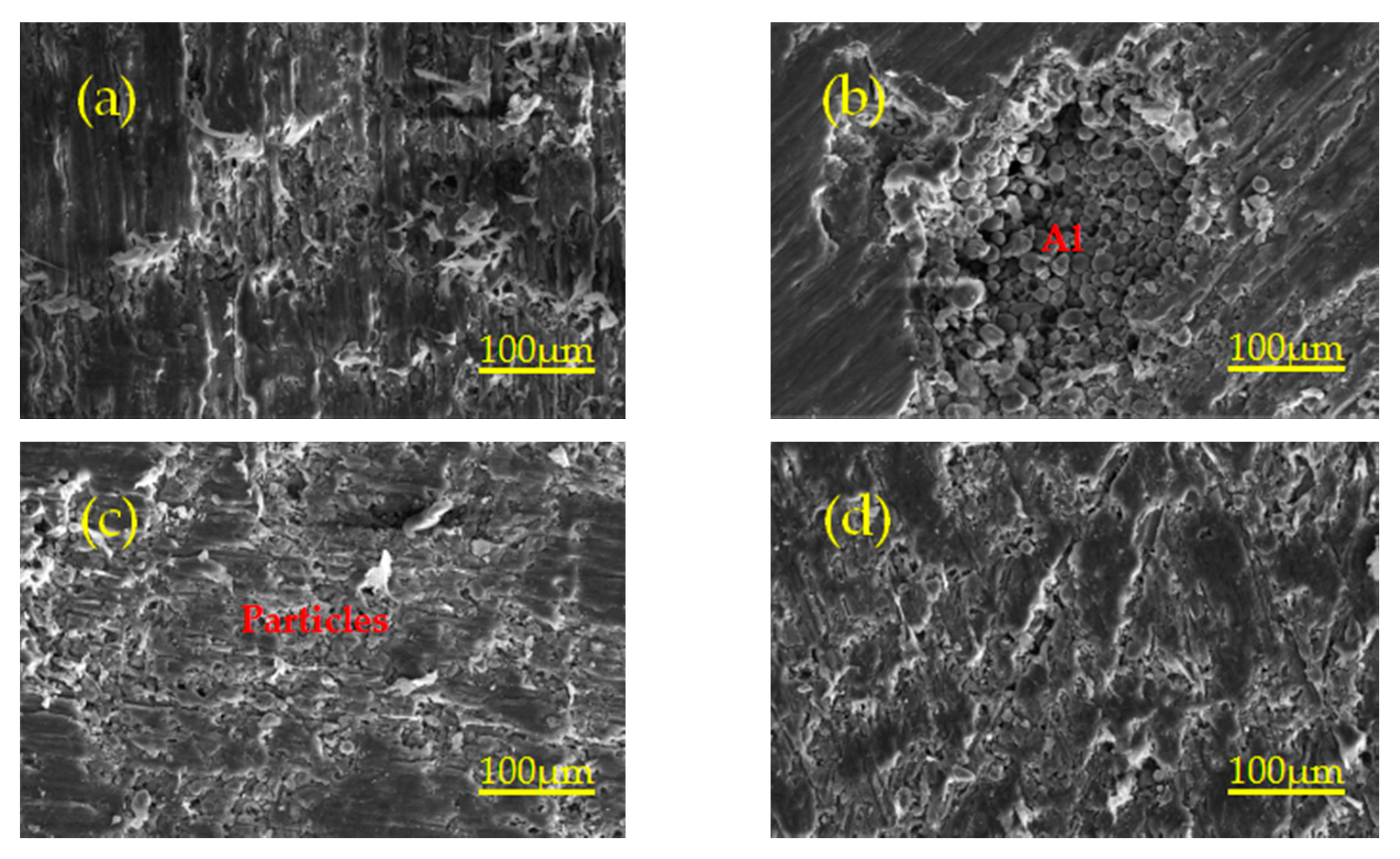 Polymers 13 01705 g013