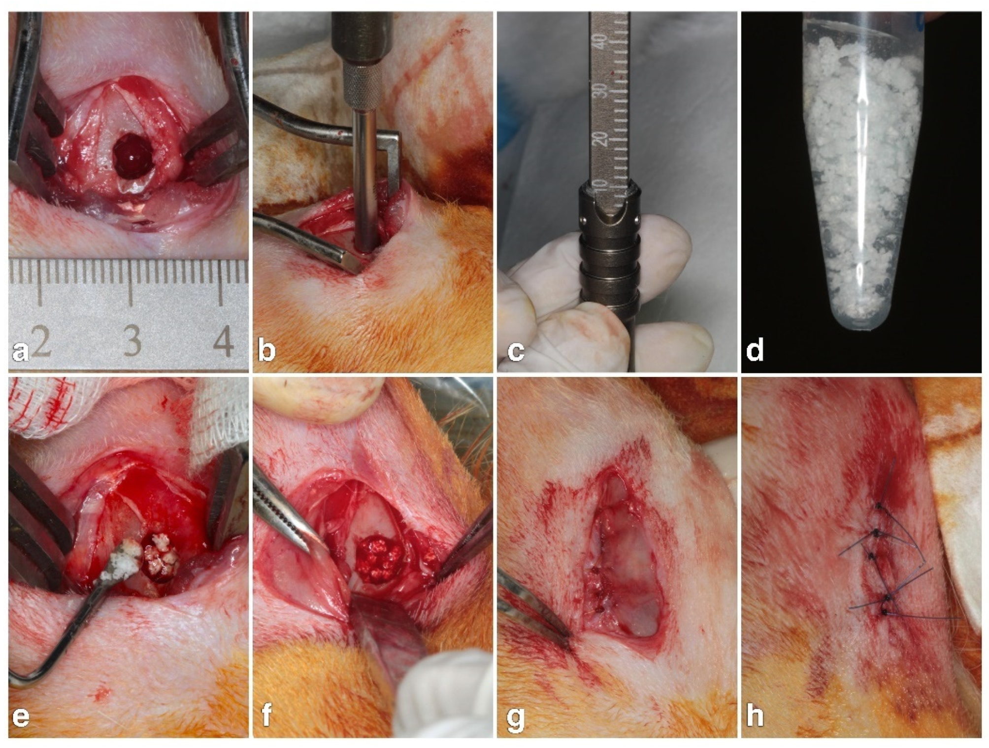 Polymers 13 01708 g001 Polymers 13 01708 g001