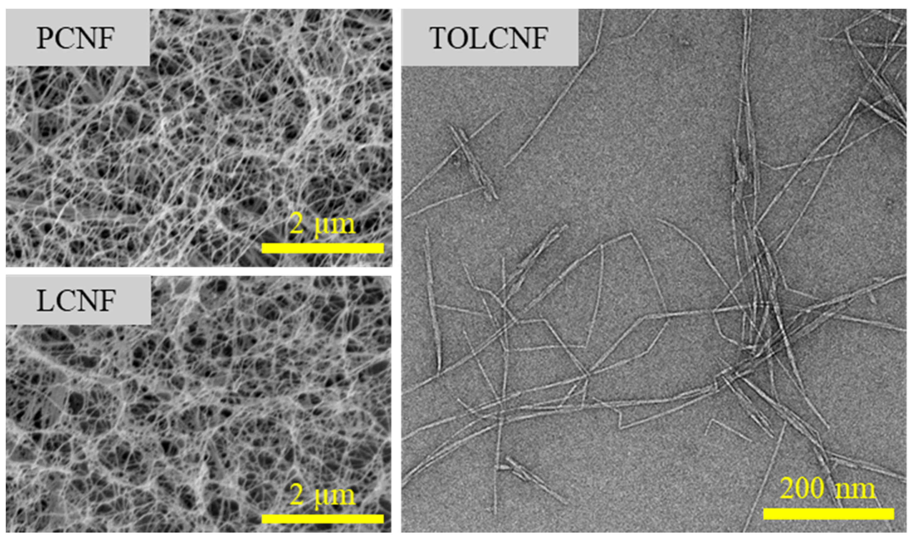 Polymers 13 01709 g002