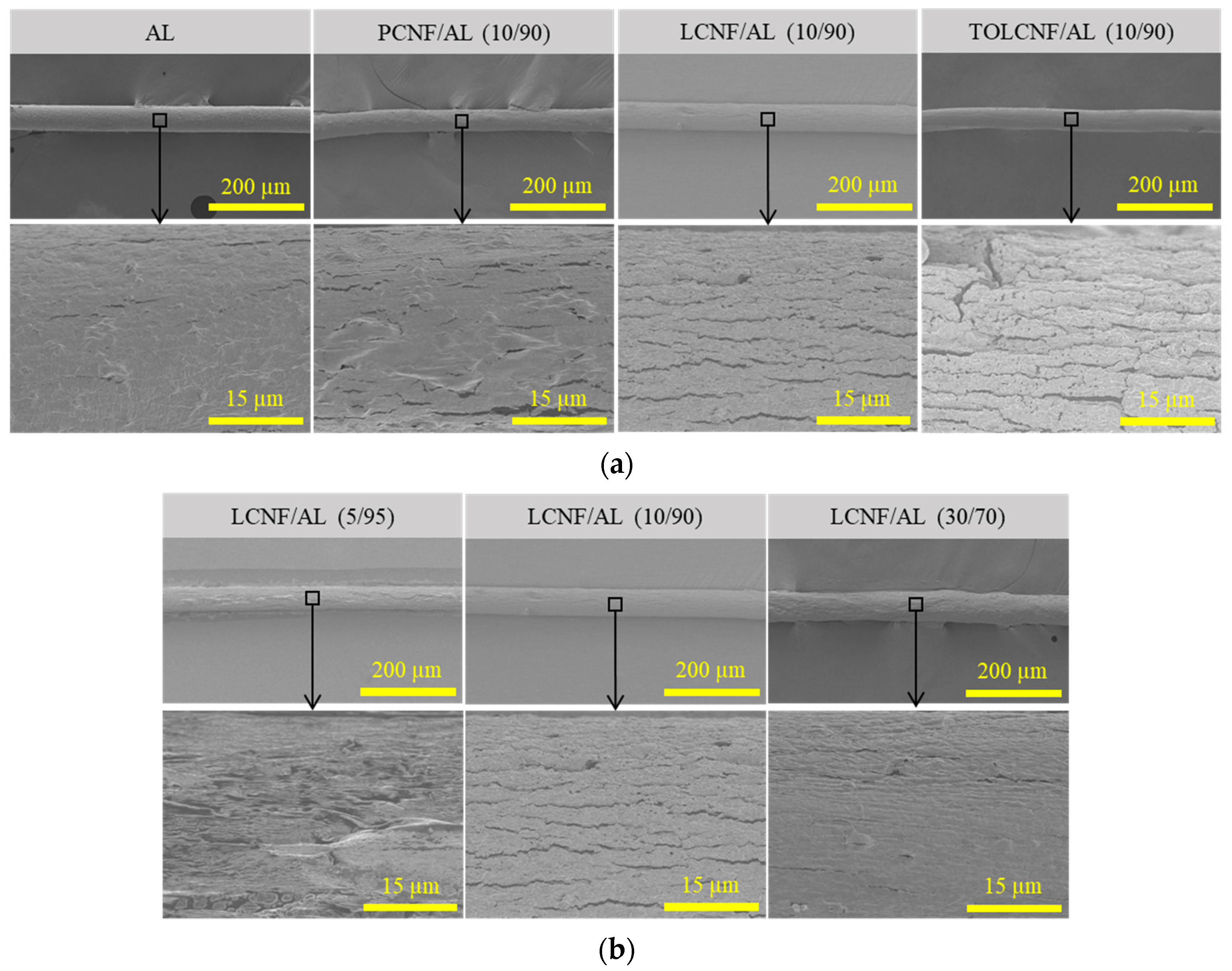 Polymers 13 01709 g003
