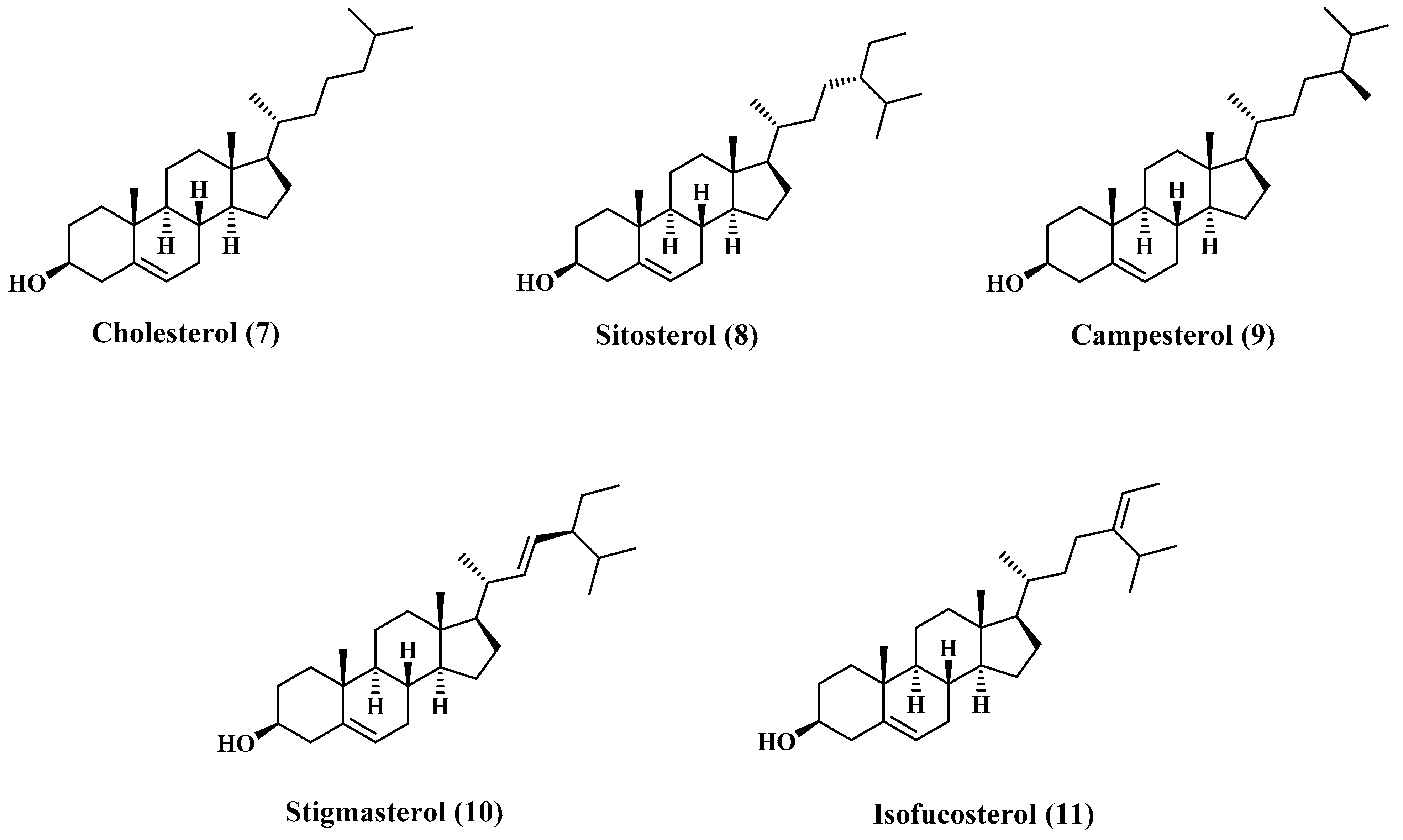 Polymers 13 01711 g002