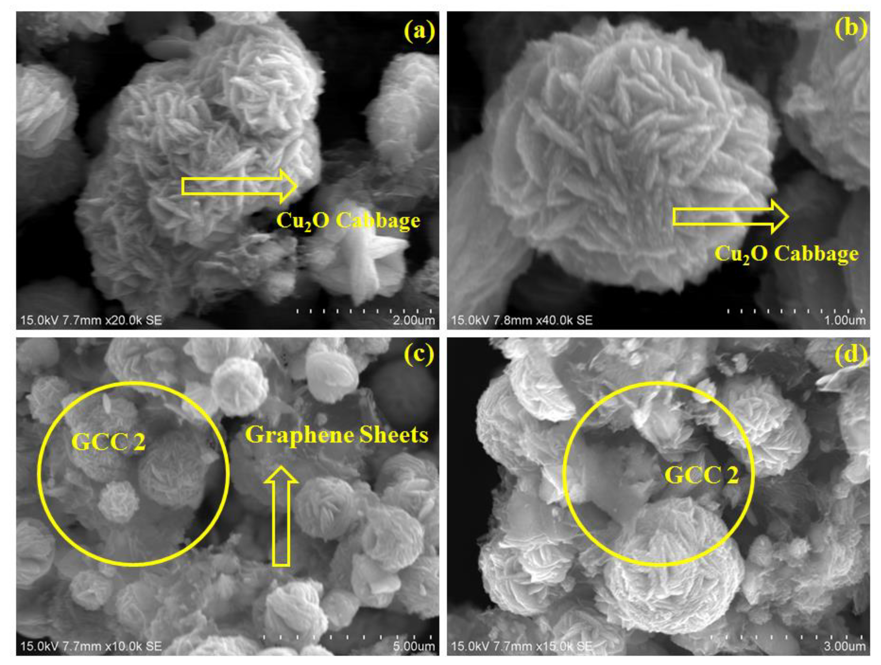 Polymers 13 01712 g006
