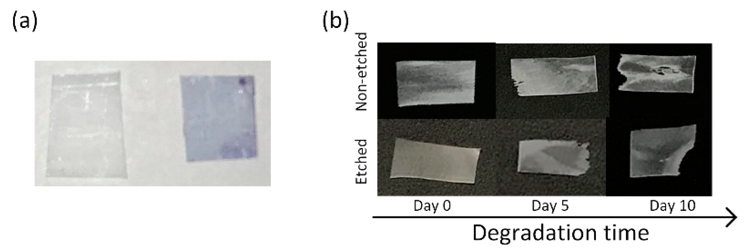 Polymers 13 01719 g001