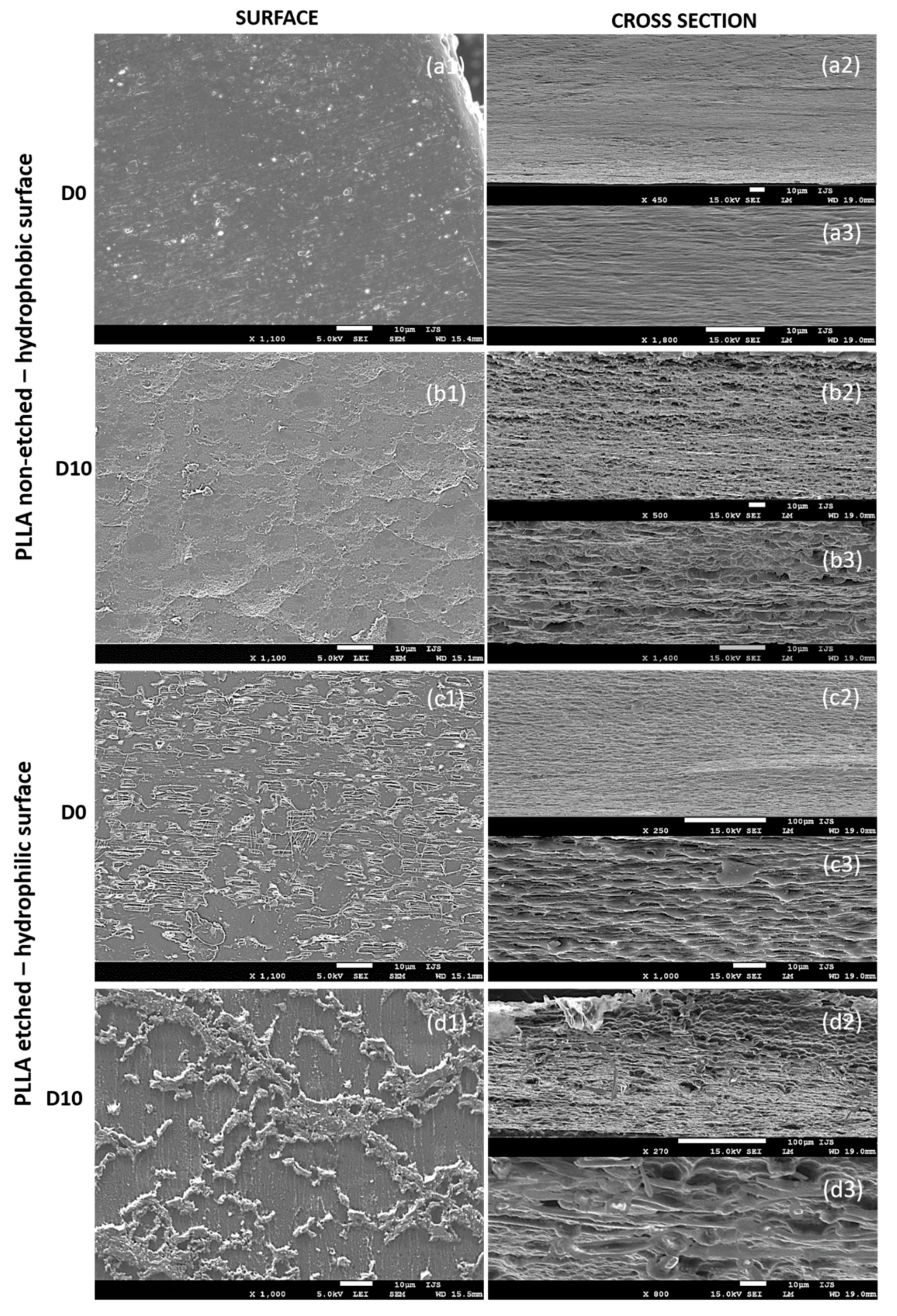 Polymers 13 01719 g007