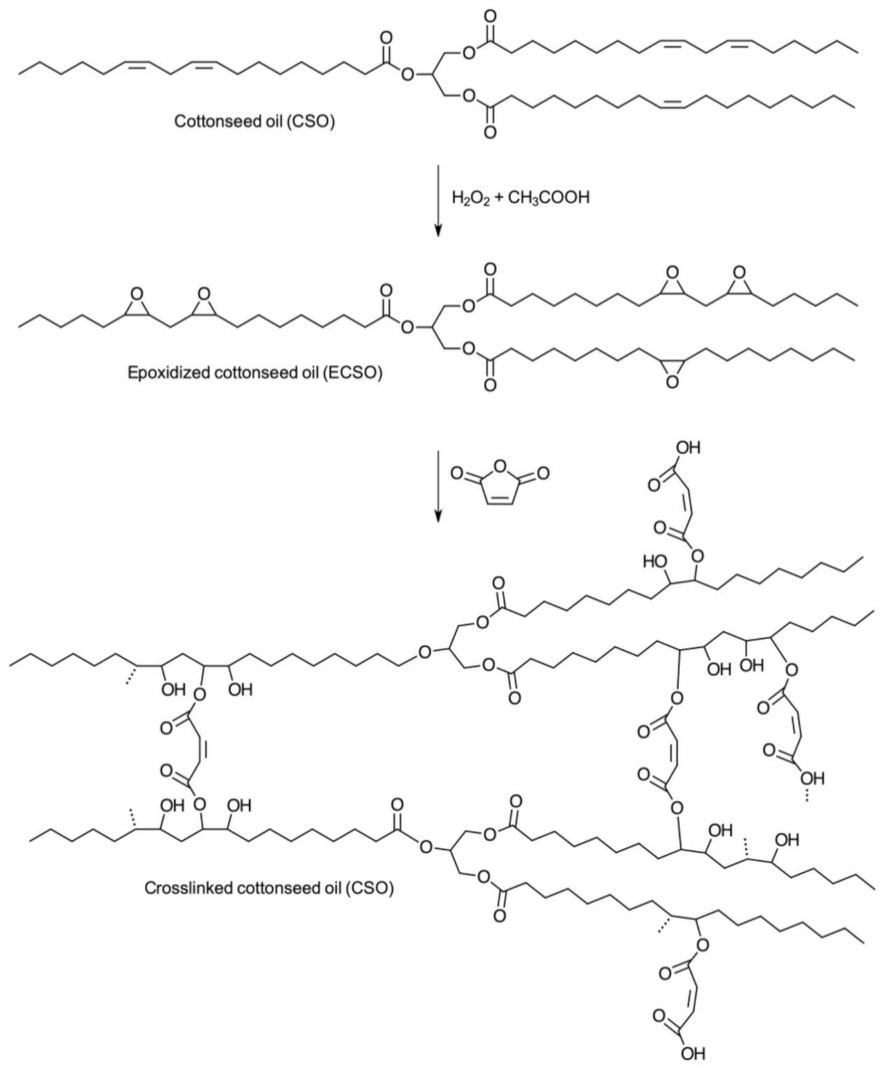 Polymers 13 01722 g007 Polymers 13 01722 g007