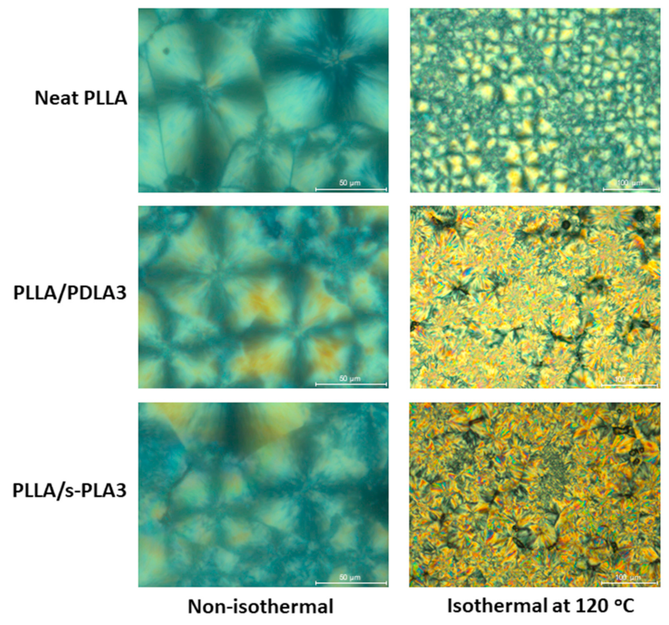 Polymers 13 01725 g005