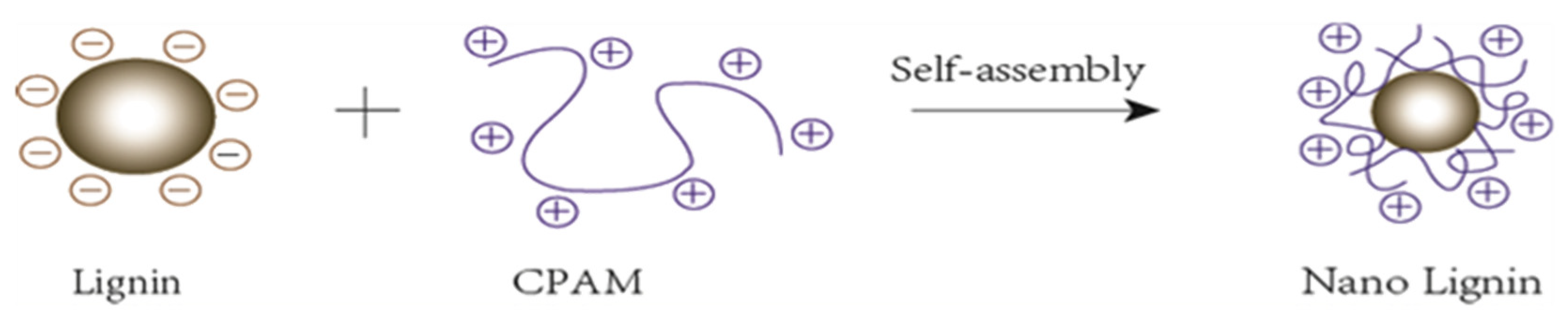 Polymers 13 01726 g001 Polymers 13 01726 g001
