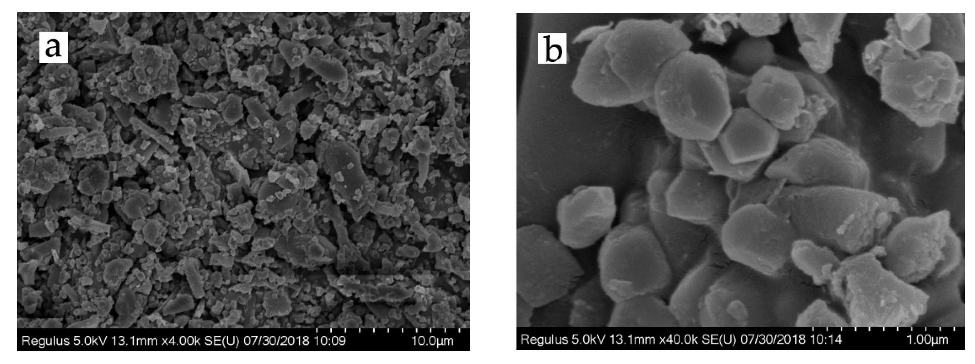 Polymers 13 01726 g003 Polymers 13 01726 g003