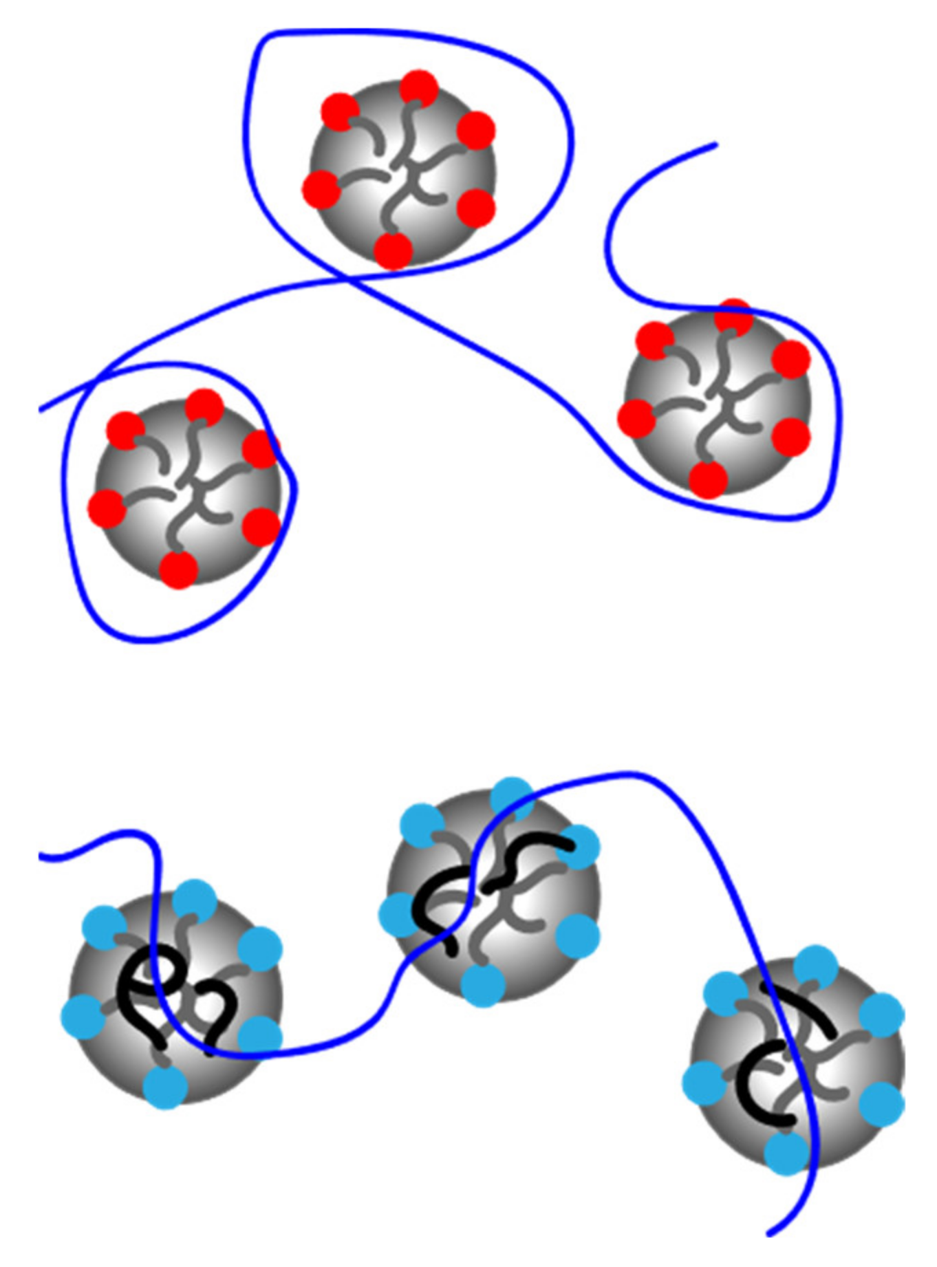 Polymers 13 01729 g002 Polymers 13 01729 g002