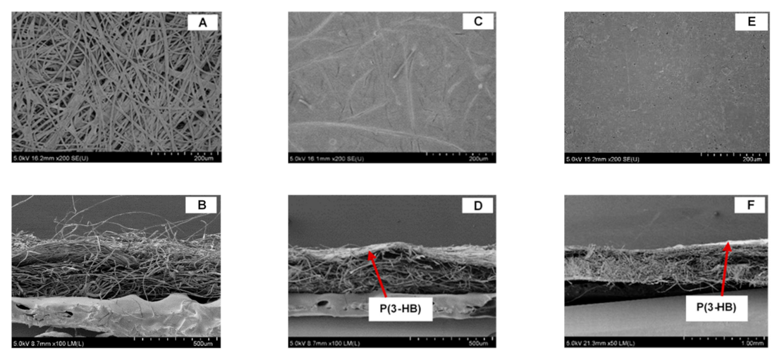 Polymers 13 01733 g002 Polymers 13 01733 g002