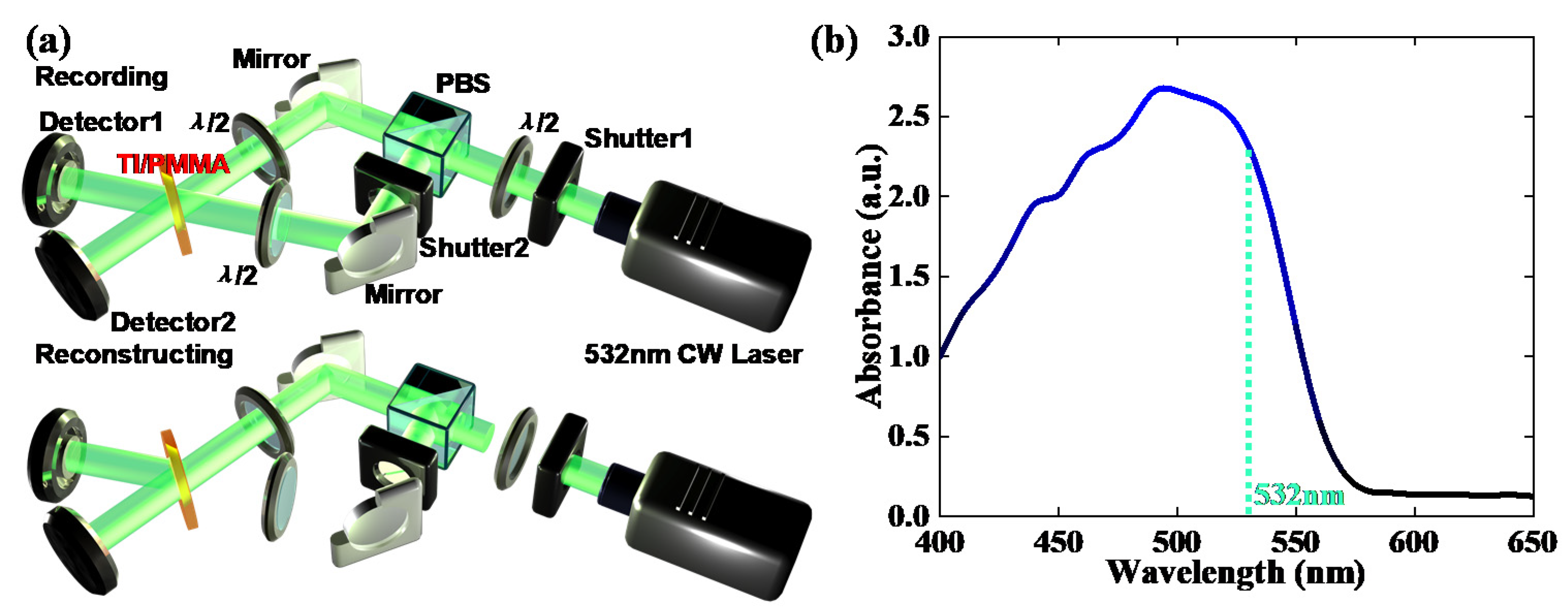 Polymers 13 01735 g002