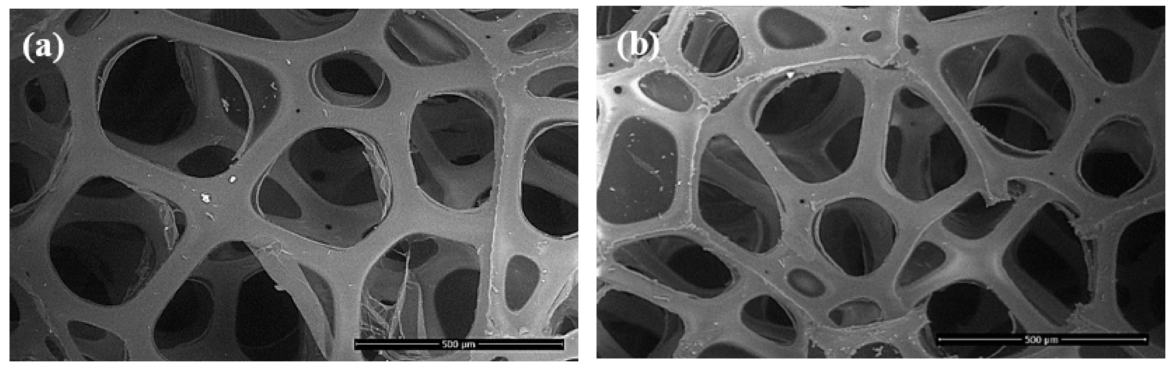 Polymers 13 01736 g005 Polymers 13 01736 g005