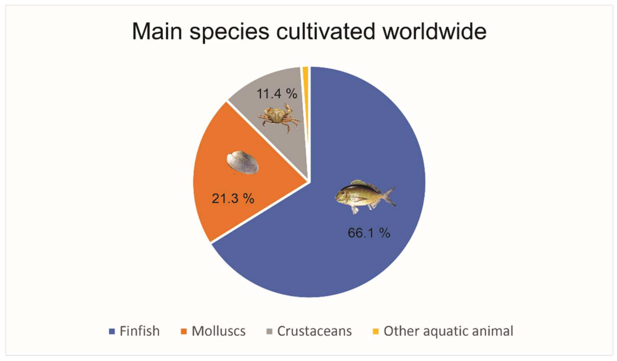 Polymers 13 01737 g001 Polymers 13 01737 g001