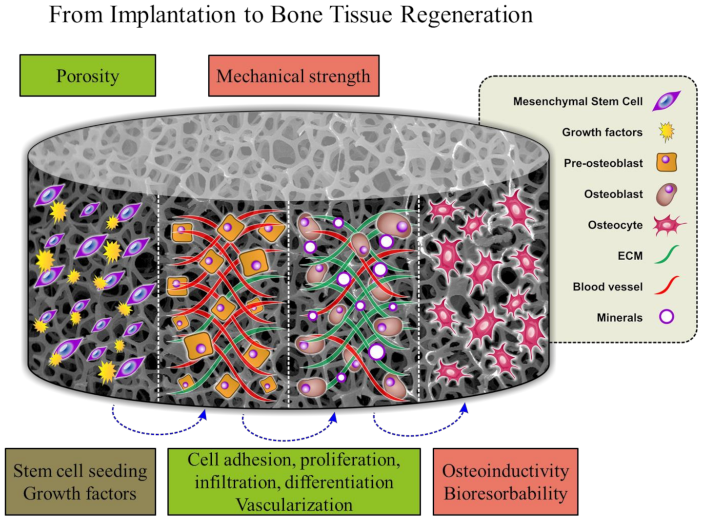 Polymers 13 01738 g002