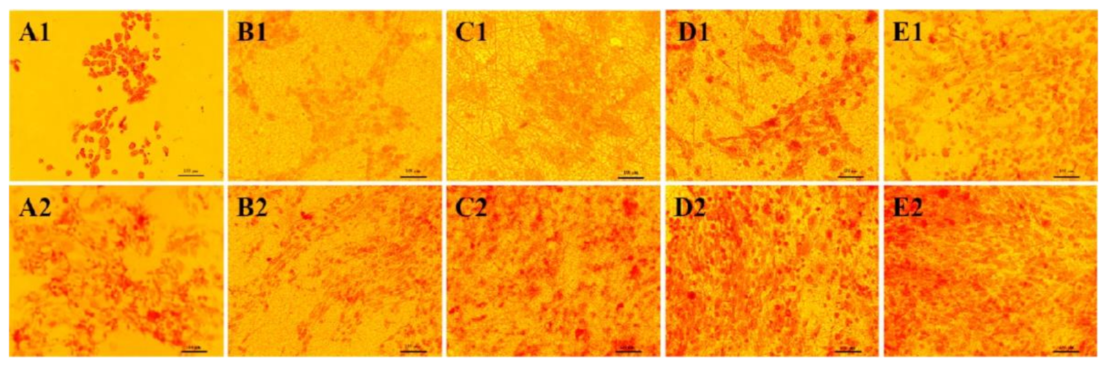 Polymers 13 01738 g005