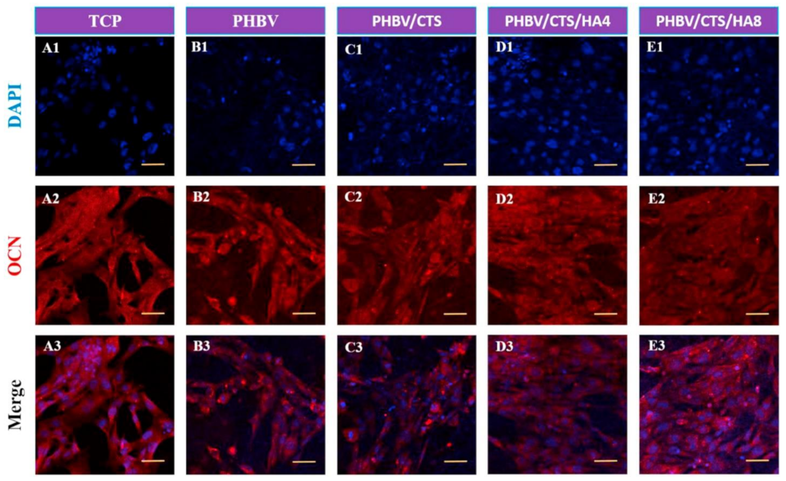 Polymers 13 01738 g006