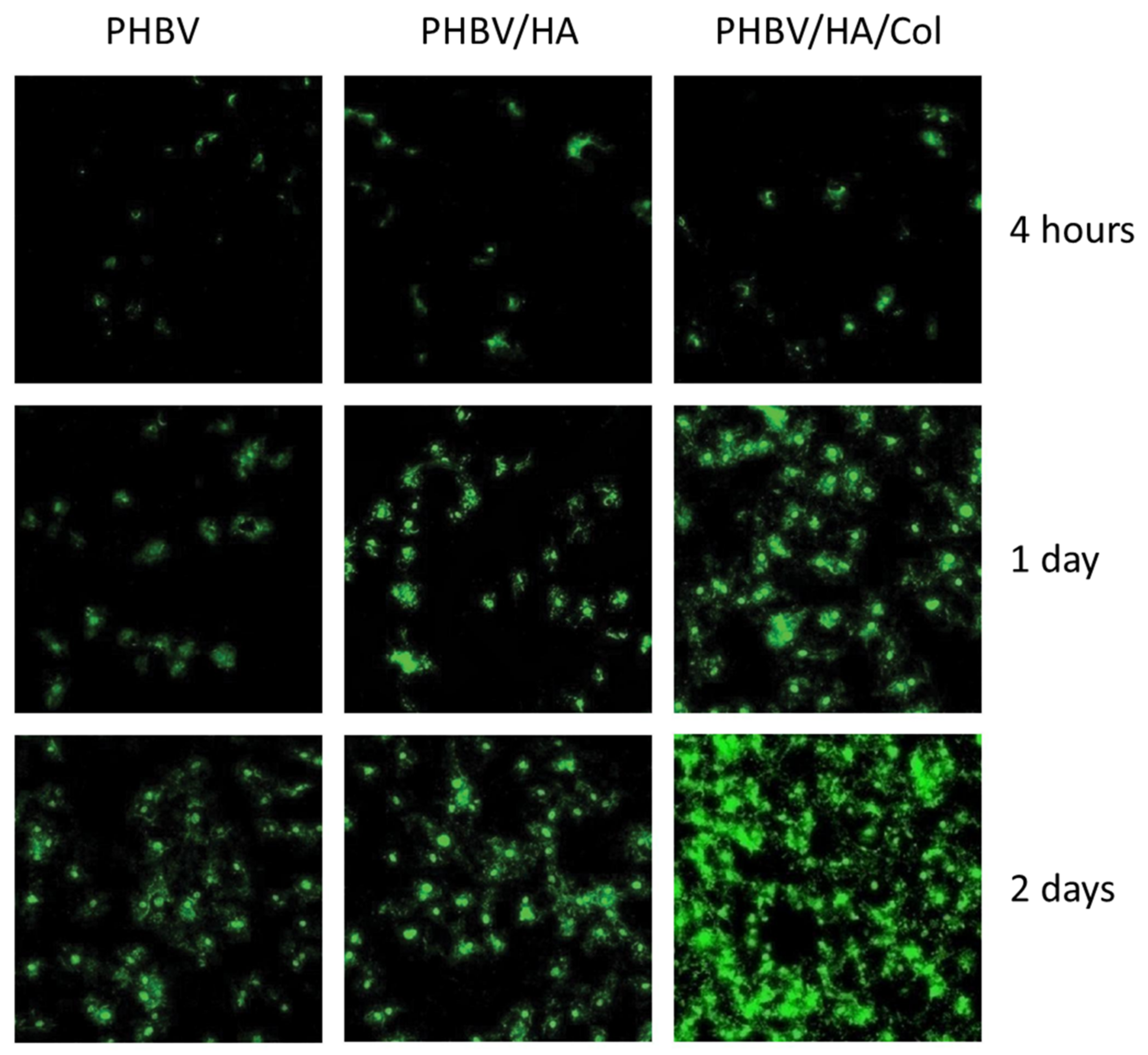Polymers 13 01738 g007