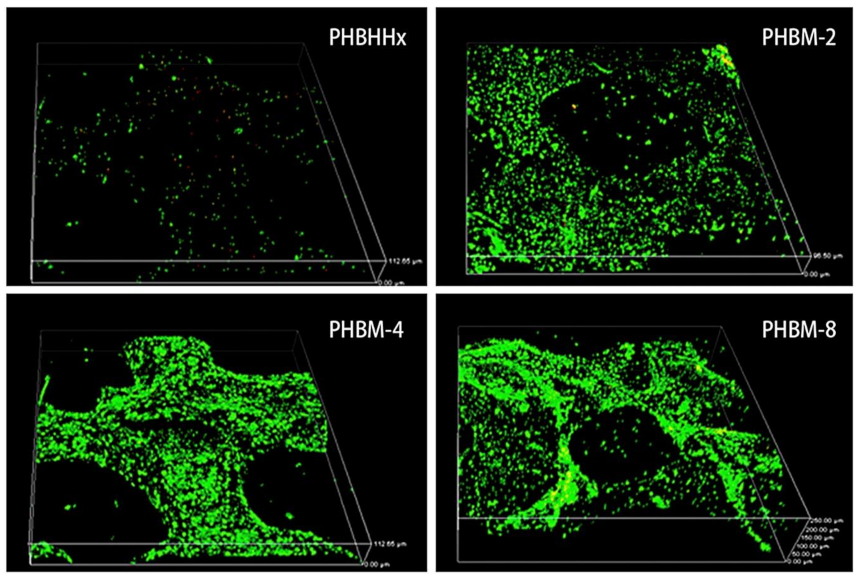 Polymers 13 01738 g008