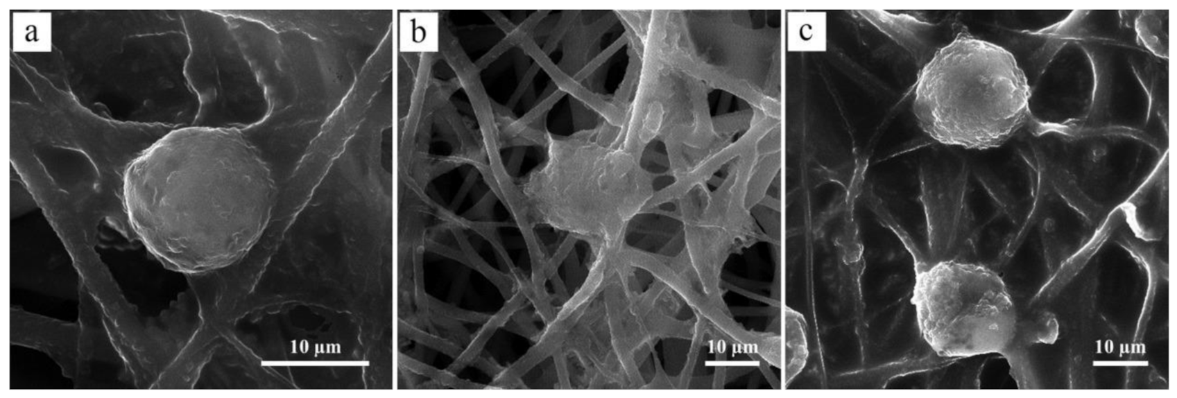 Polymers 13 01738 g010