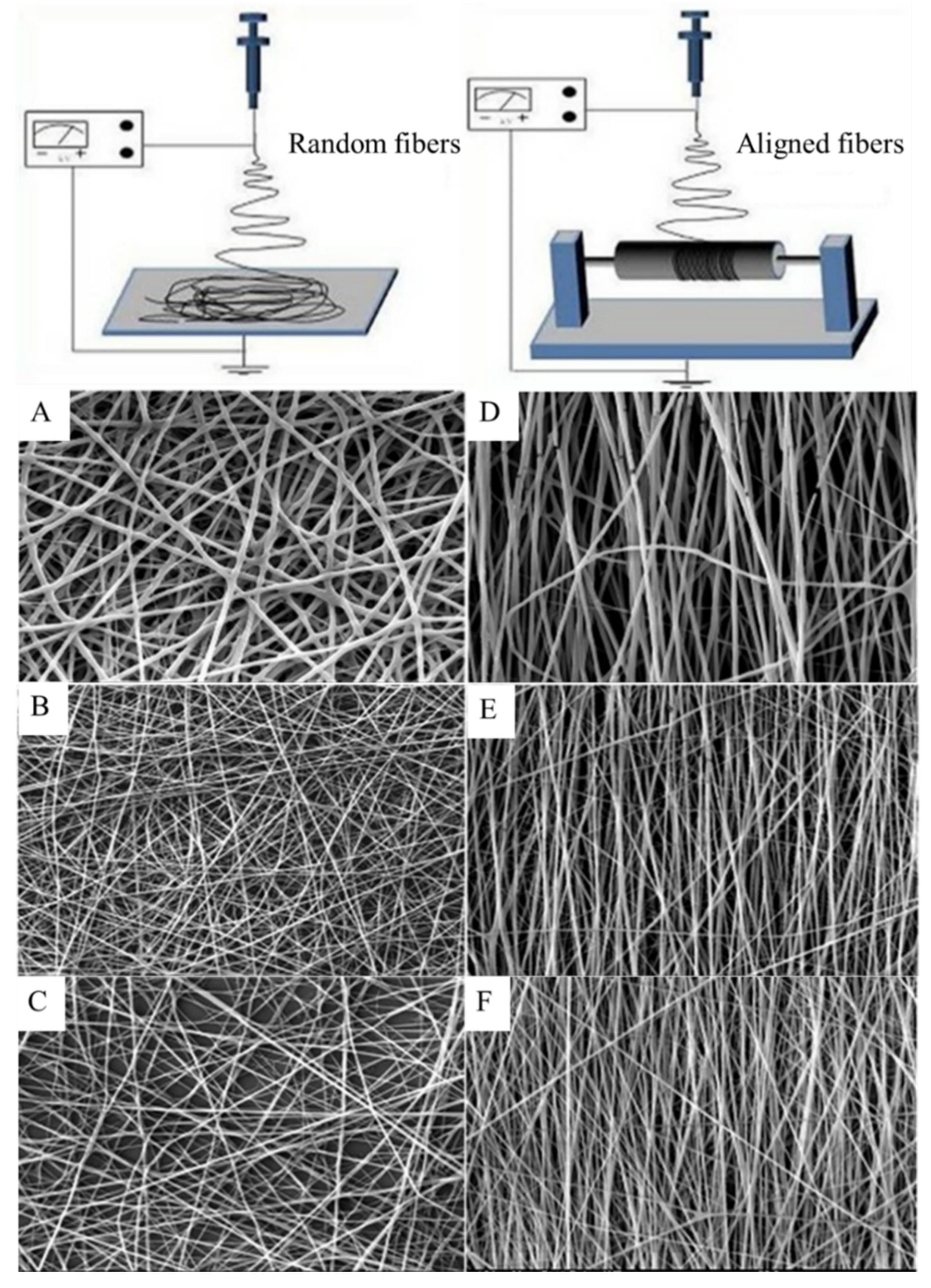 Polymers 13 01738 g011