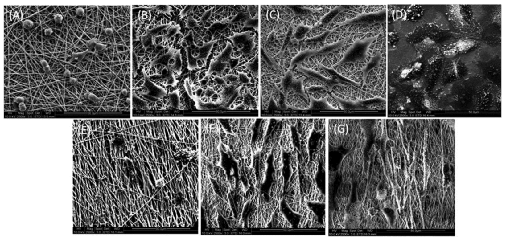 Polymers 13 01738 g012