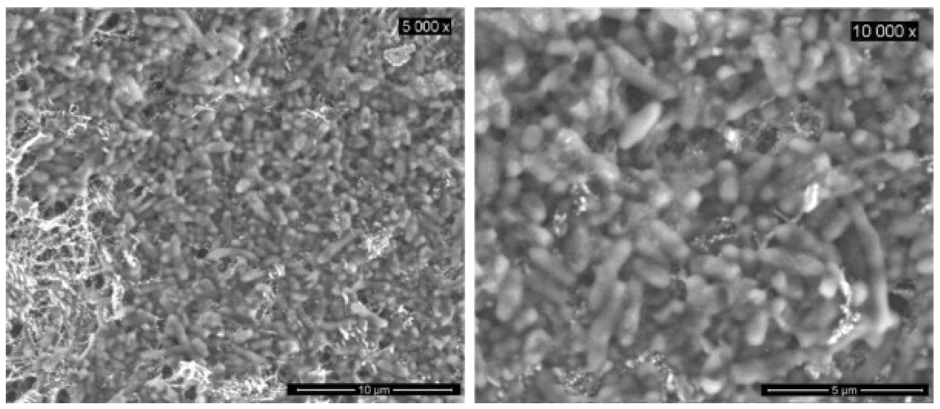 Polymers 13 01741 g007