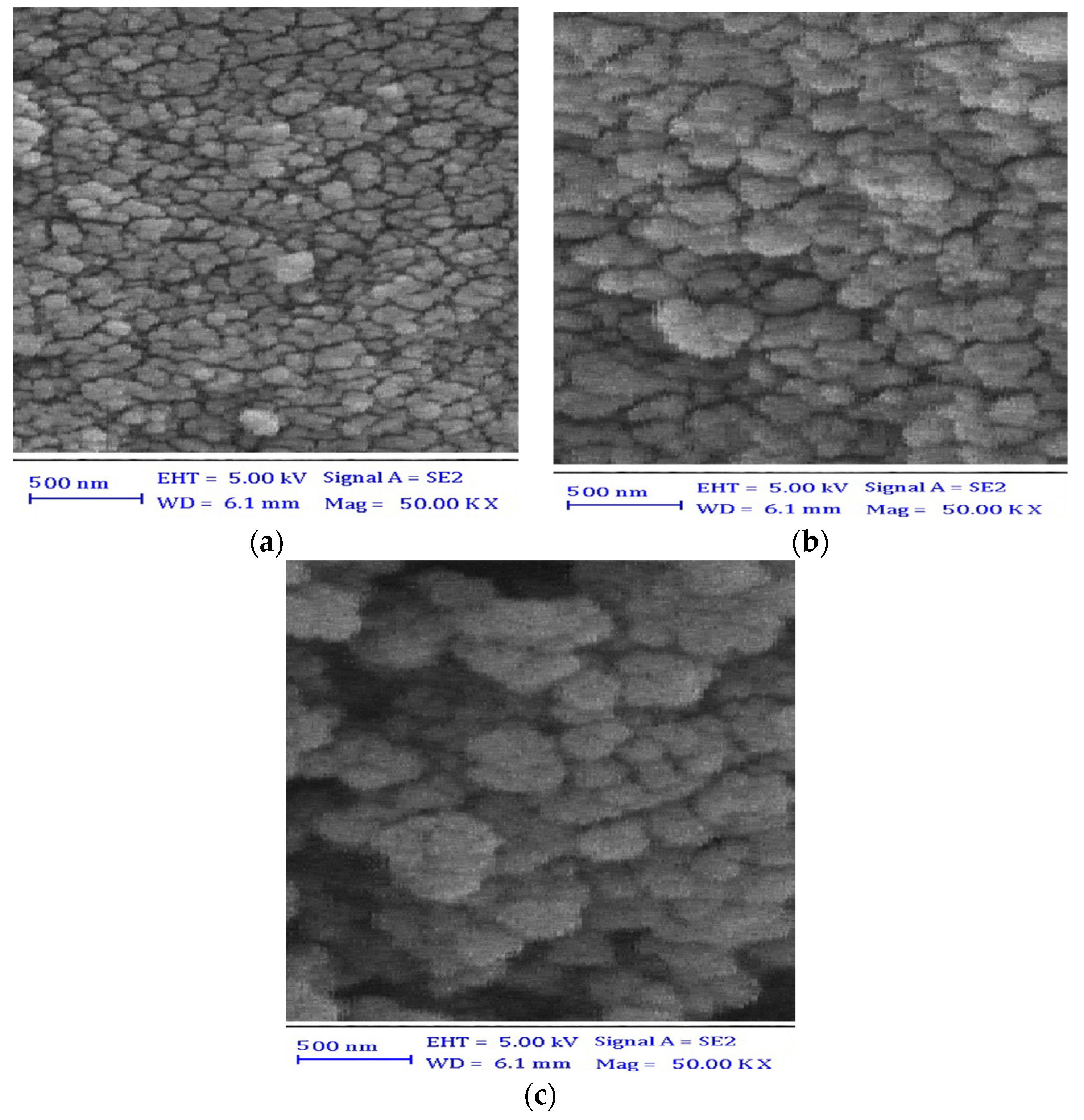 Polymers 13 01742 g002 Polymers 13 01742 g002