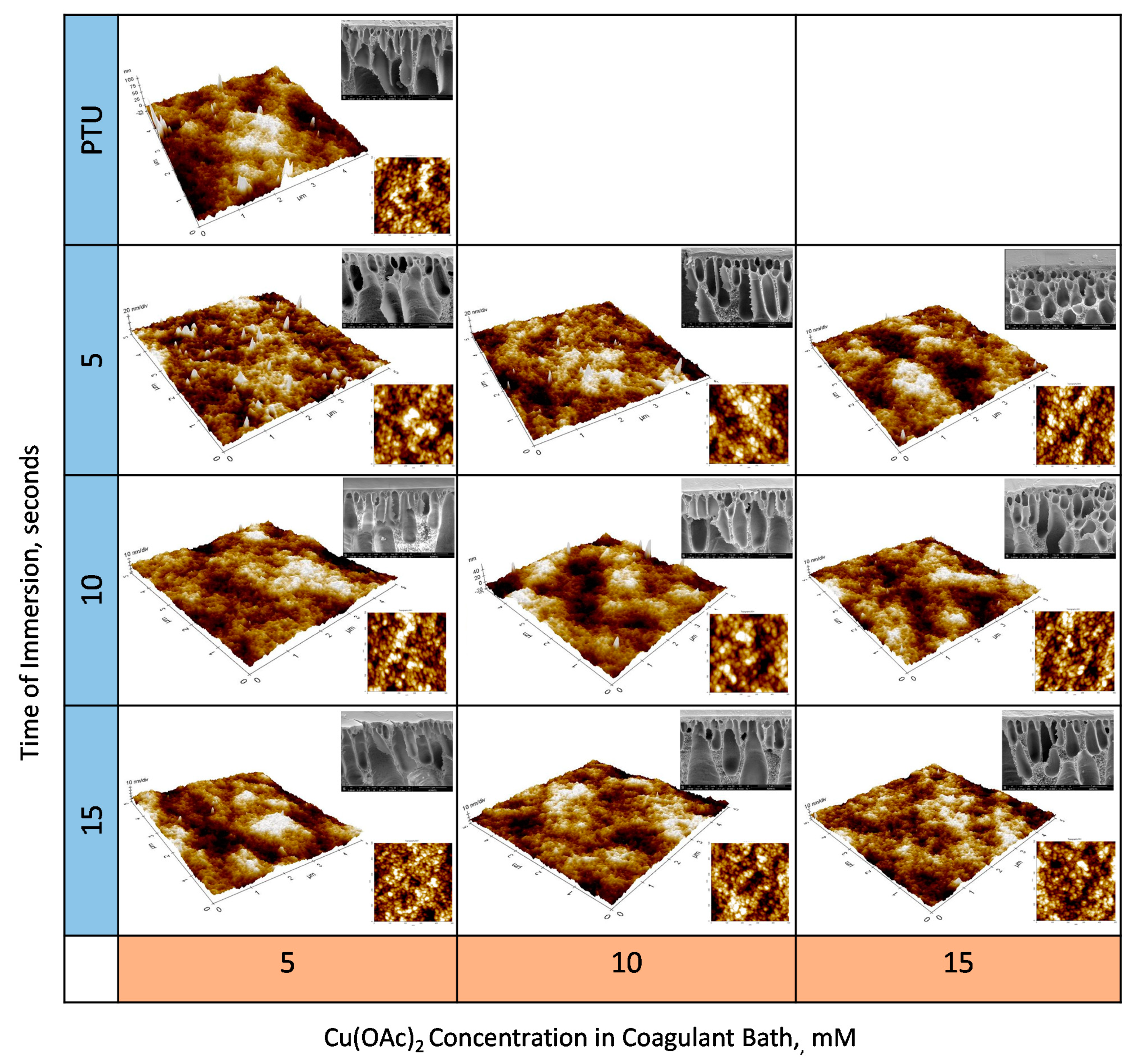 Polymers 13 01743 g008