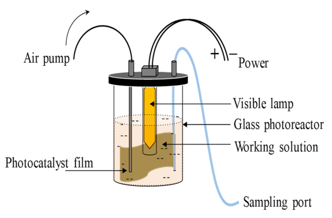 Polymers 13 01746 g001