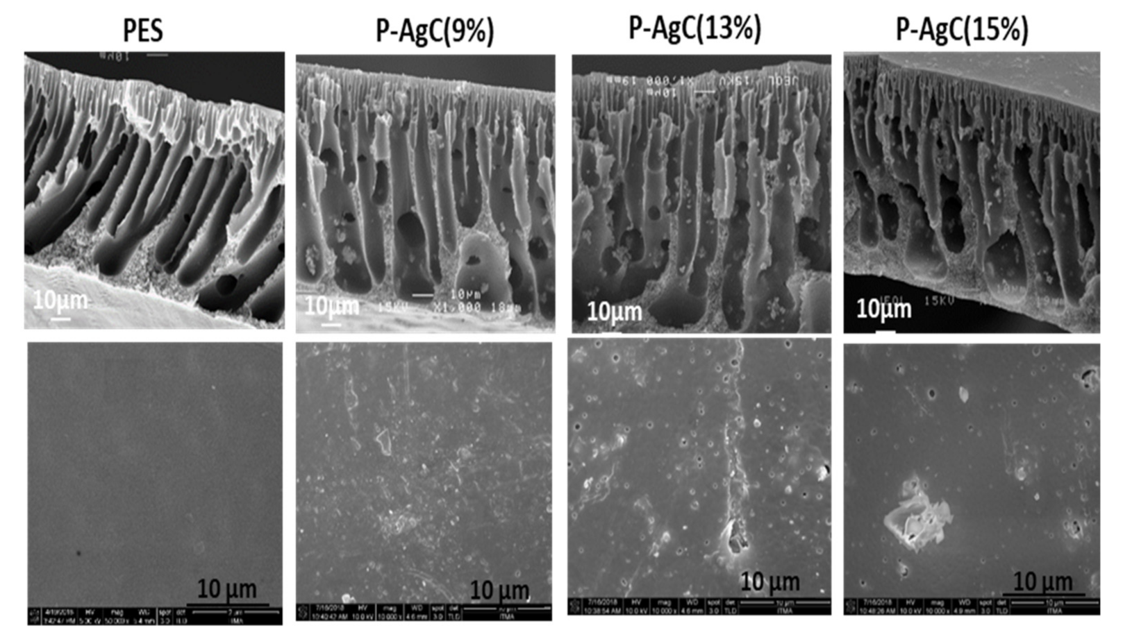 Polymers 13 01746 g003