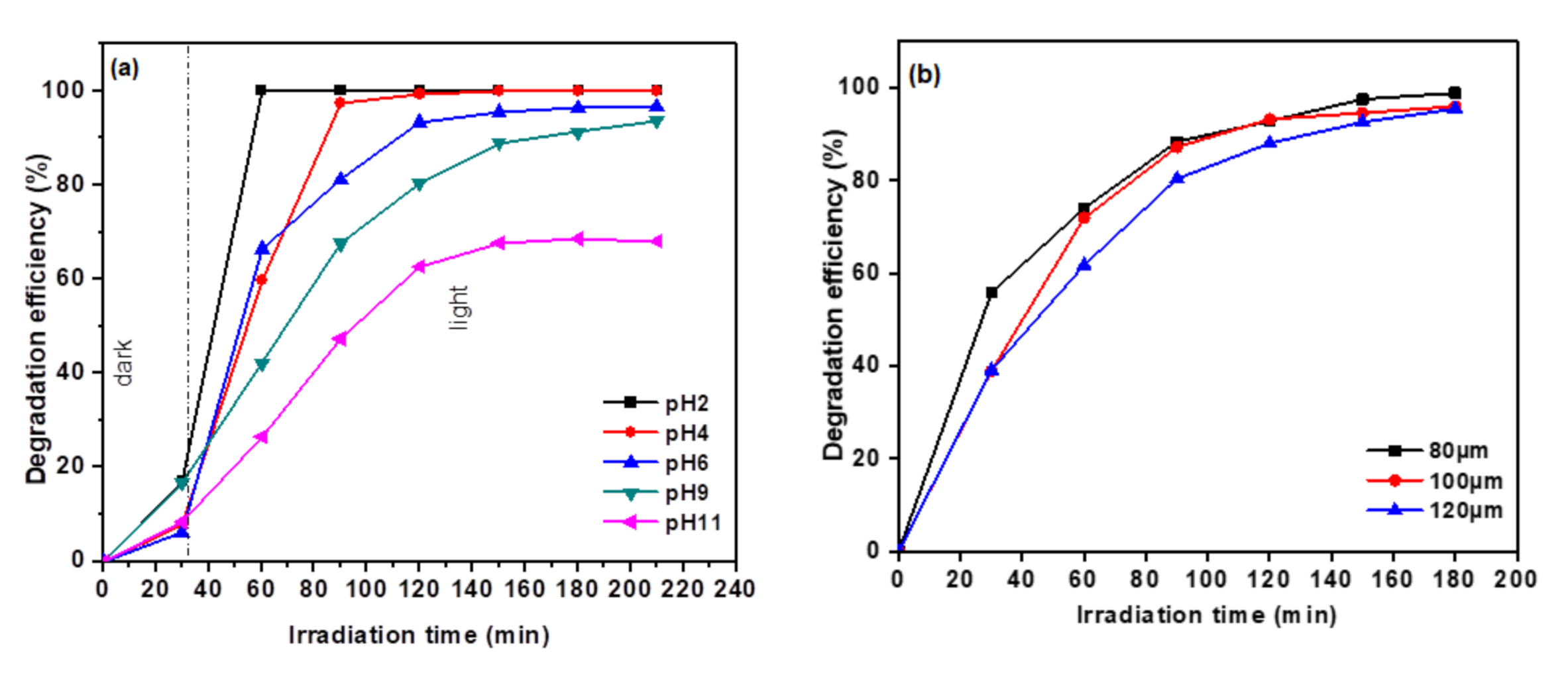 Polymers 13 01746 g010