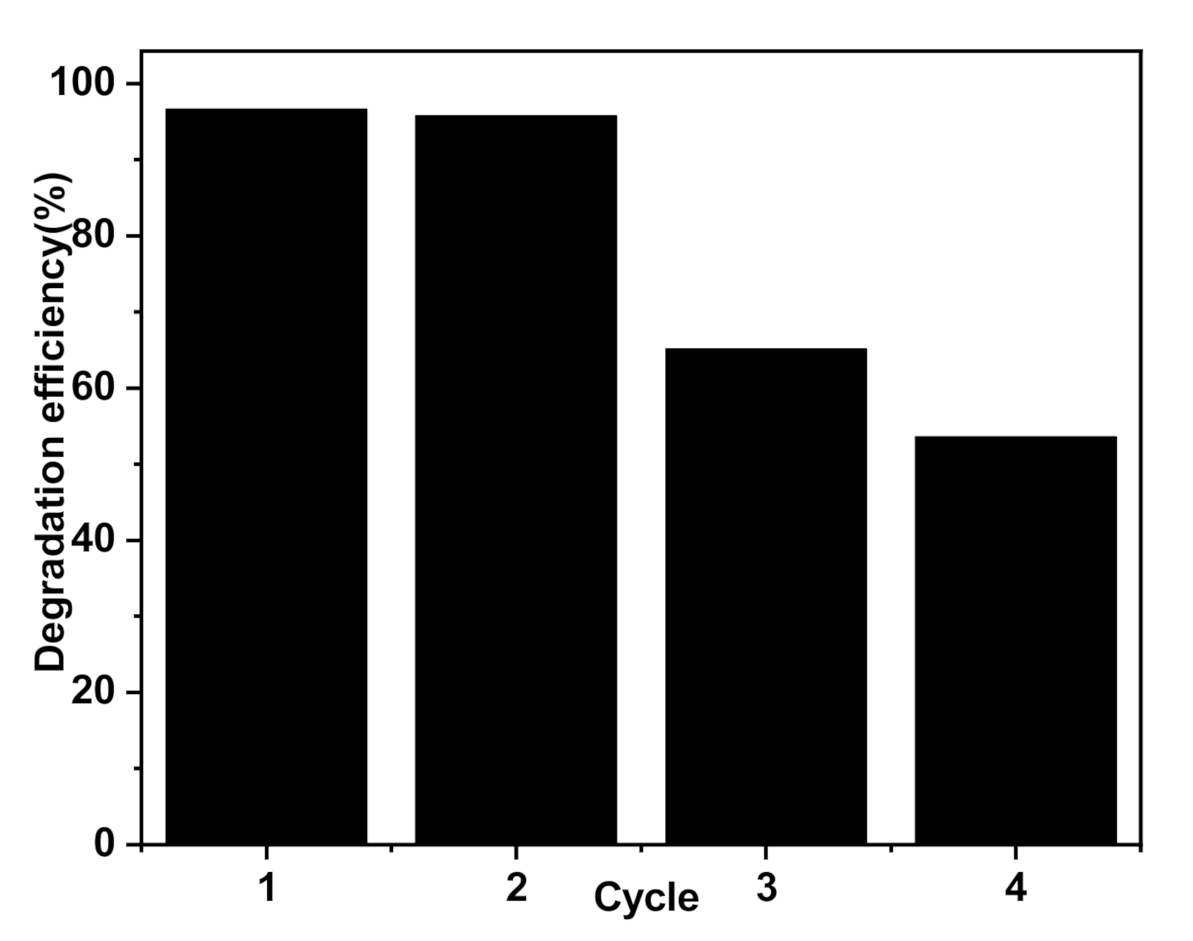 Polymers 13 01746 g012