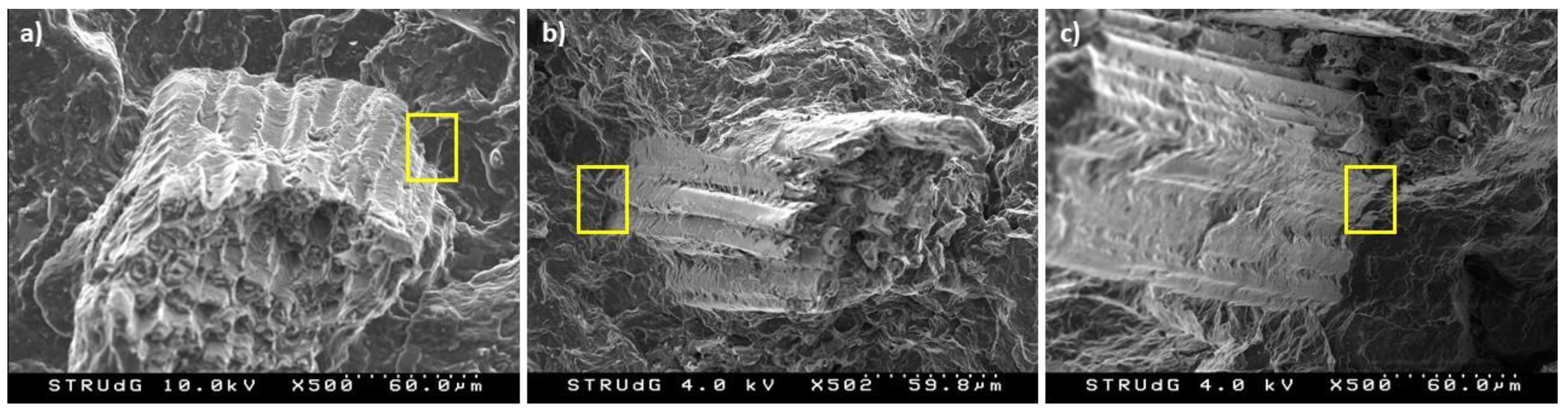 Polymers 13 01751 g006