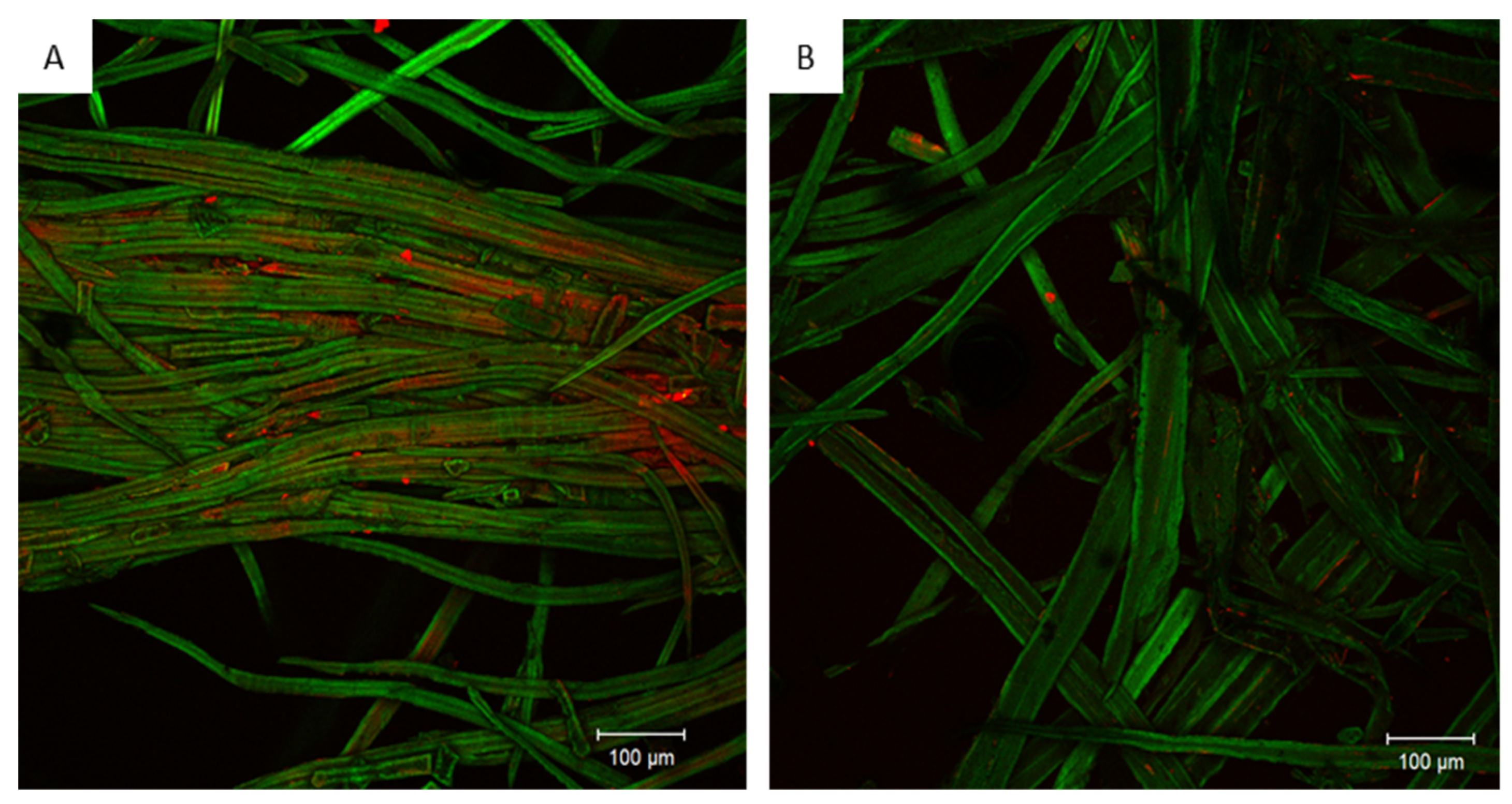 Polymers 13 01752 g008 Polymers 13 01752 g008