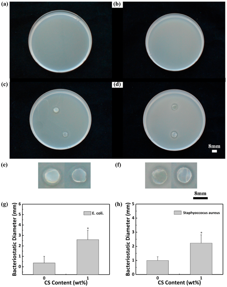 Polymers 13 01753 g005 Polymers 13 01753 g005