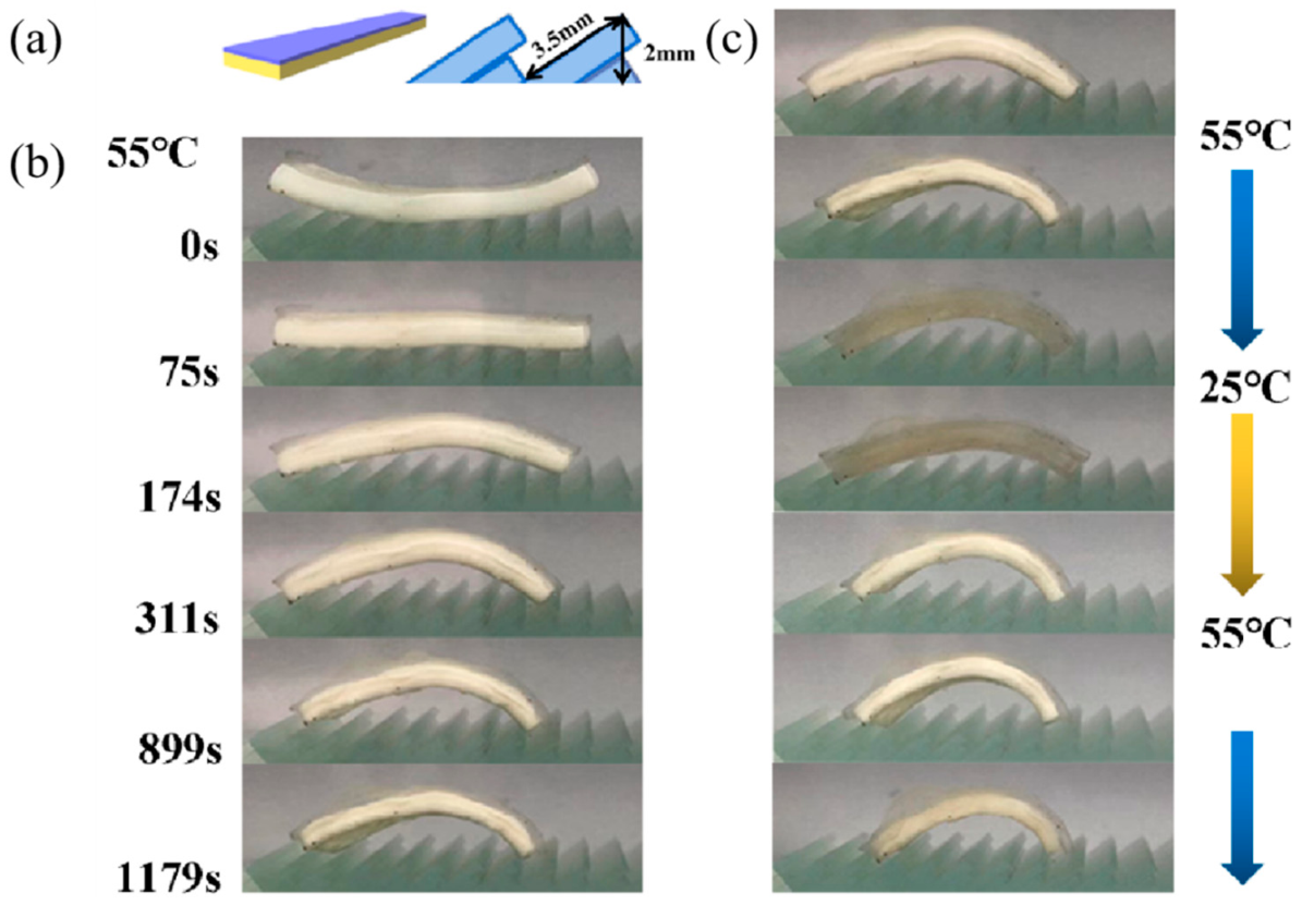 Polymers 13 01753 g008 Polymers 13 01753 g008